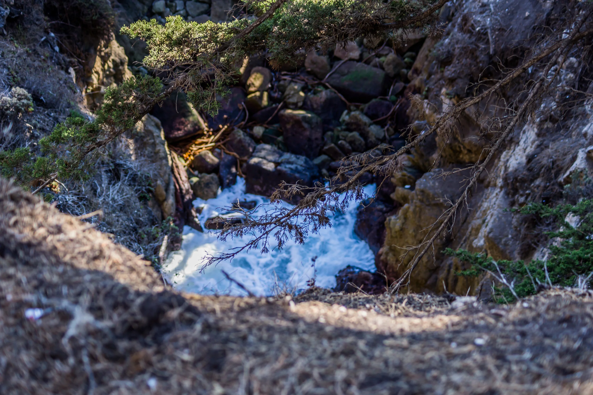 DSC04705-November 25, 2013-Backup.jpg