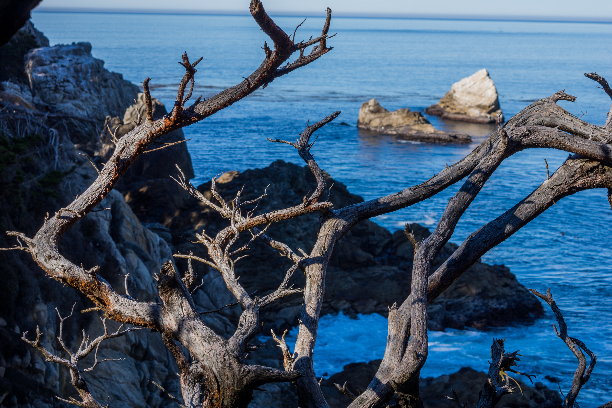 DSC04702-November 25, 2013-Backup.jpg