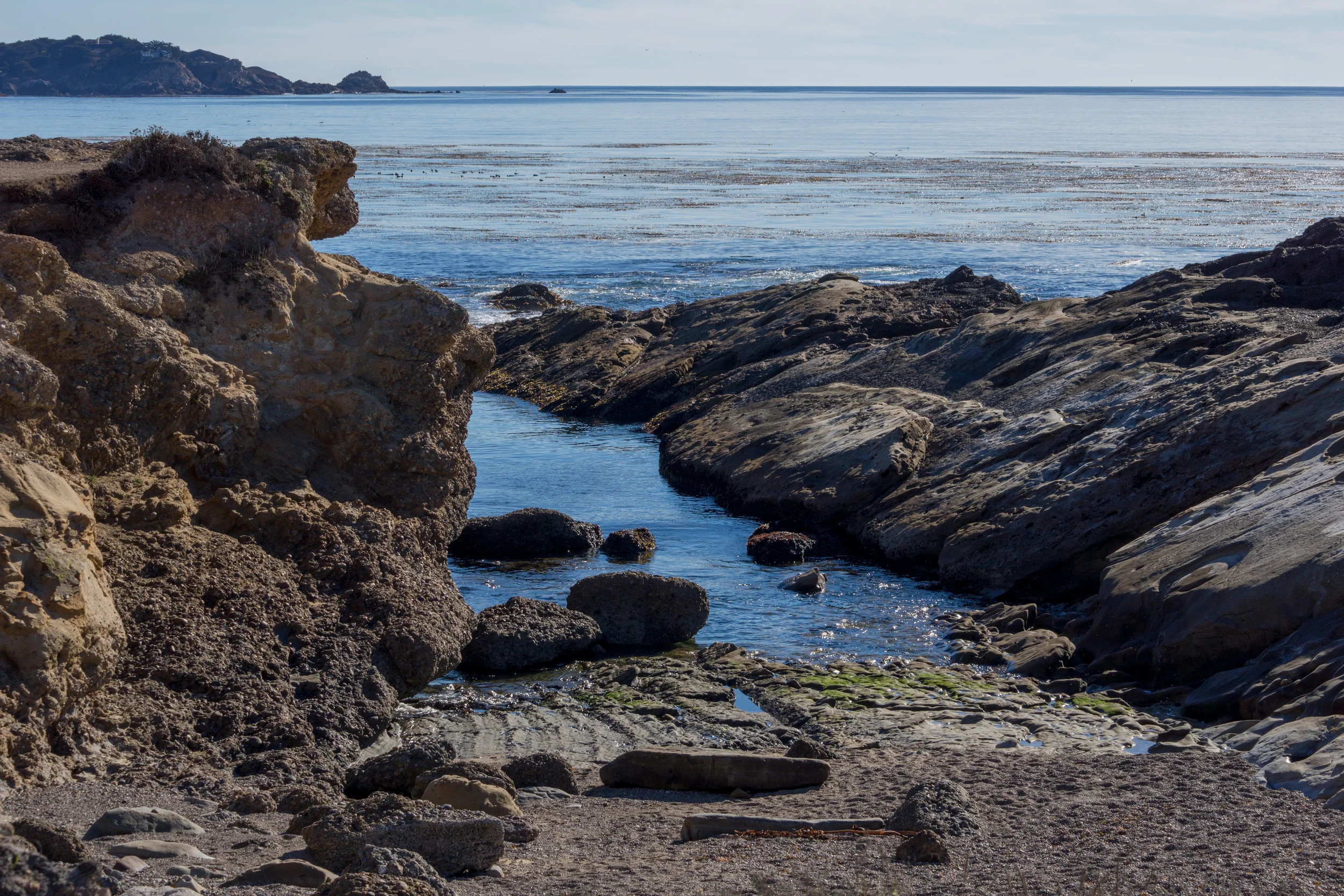 DSC04748-November 25, 2013-Backup.jpg