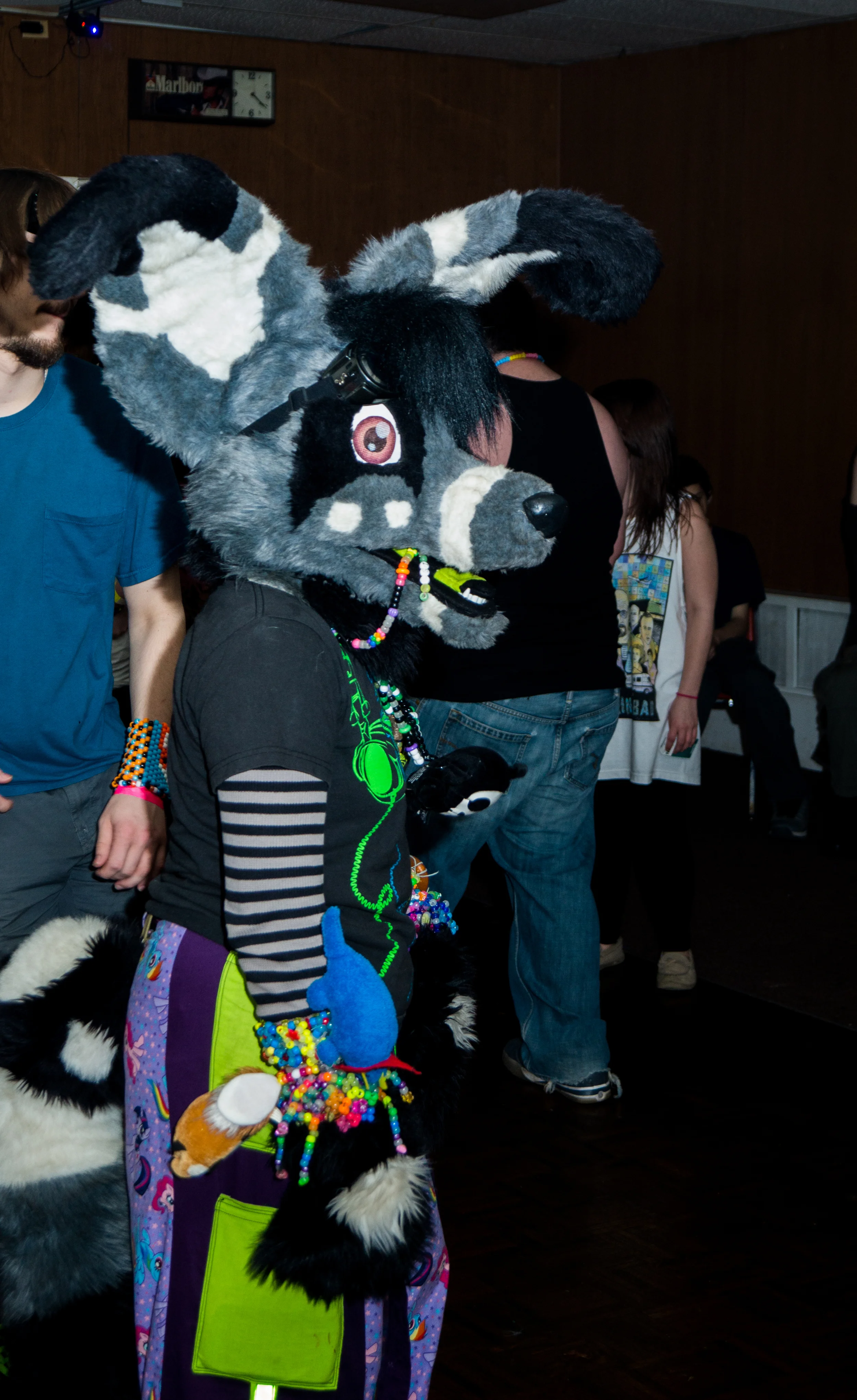 DSC05657-March 15, 2014-Backup.jpg