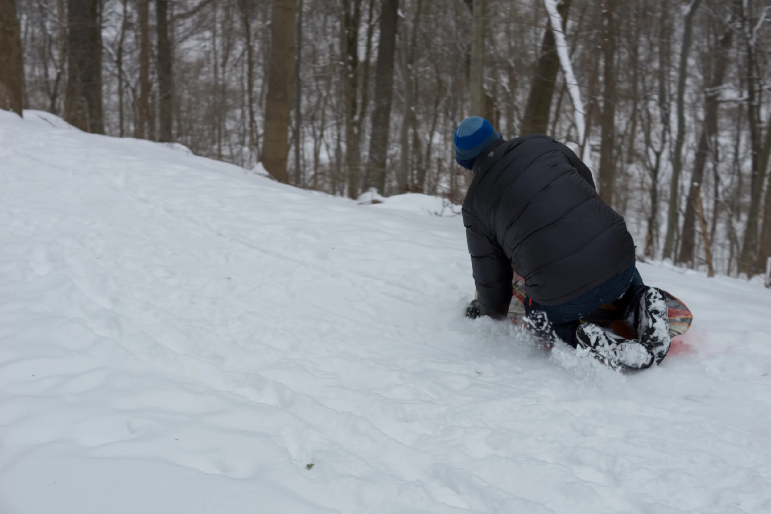 DSC05545-February 21, 2015-Backup.jpg