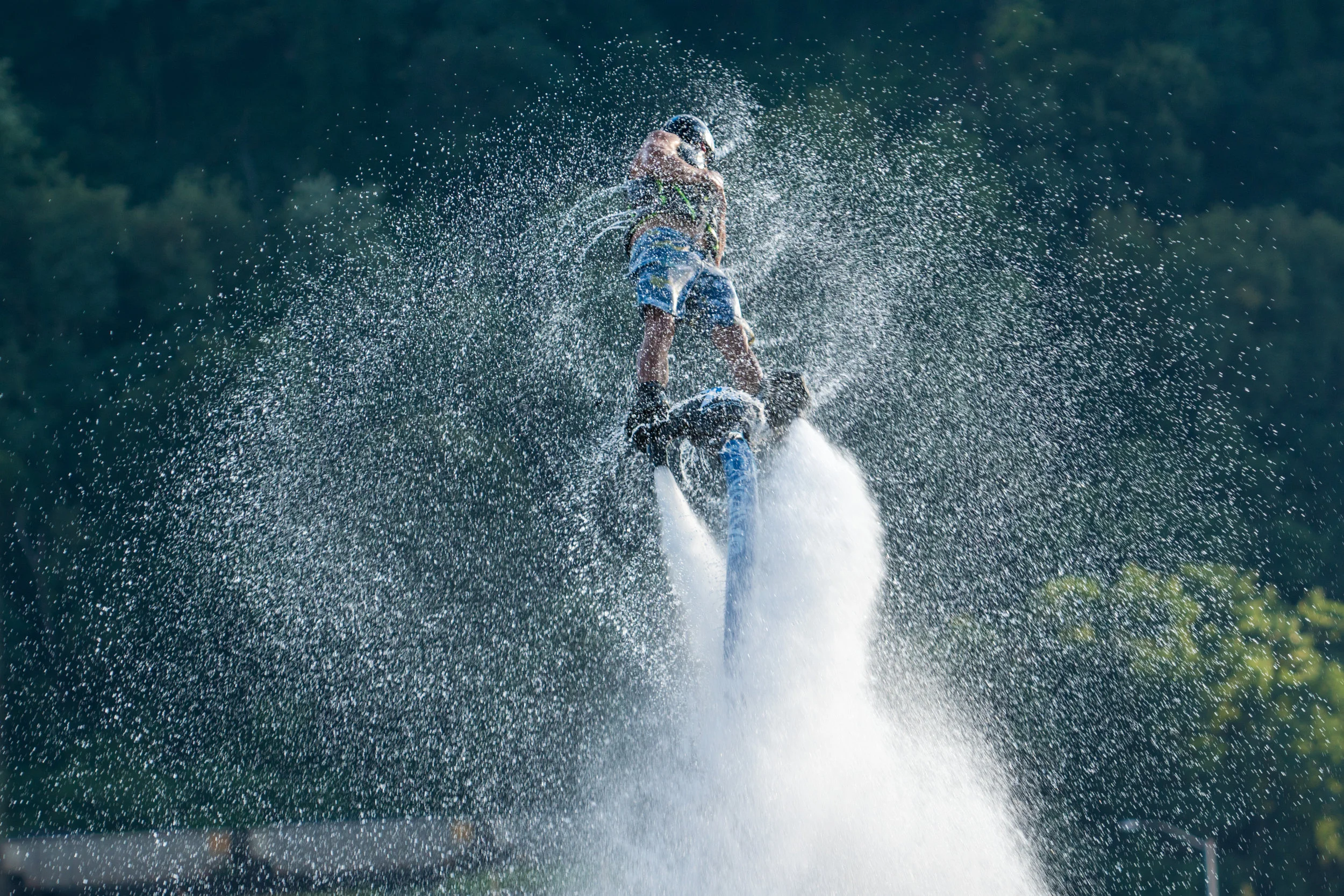 DSC04483-August 06, 2016-Backup.jpg