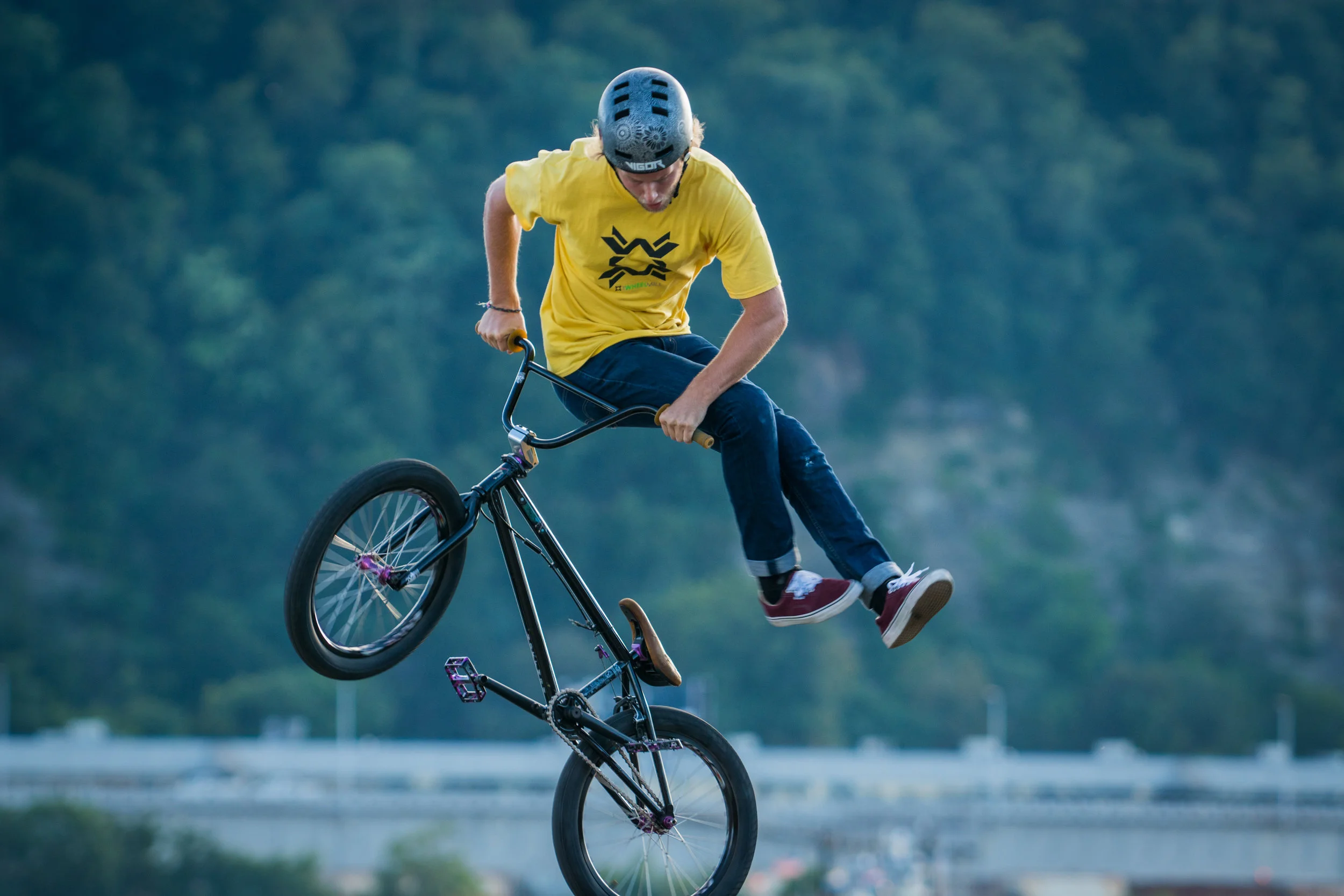 DSC04451-August 06, 2016-Backup.jpg