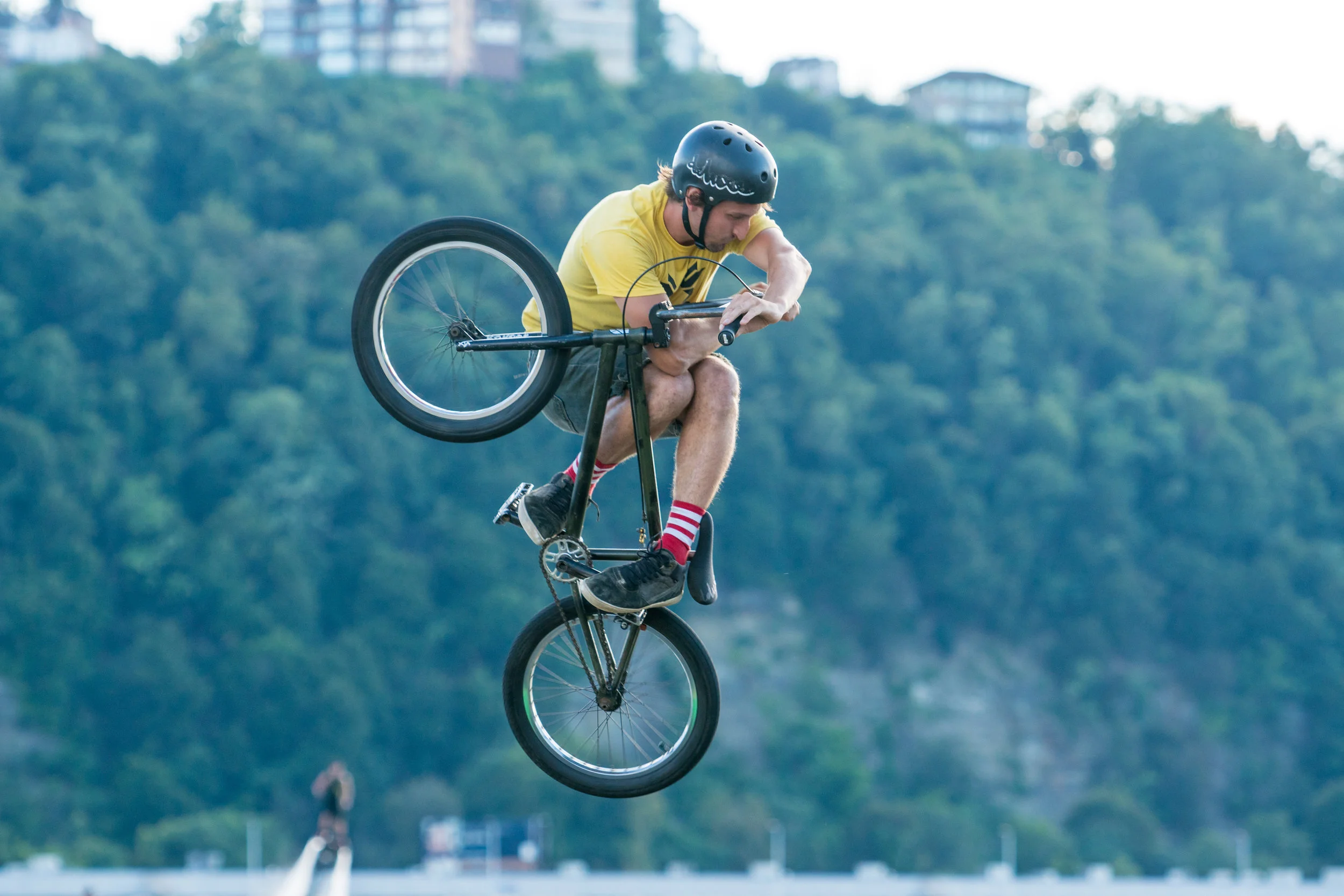 DSC04438-August 06, 2016-Backup.jpg