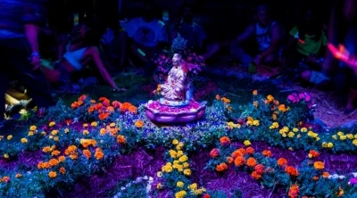 DSC08457-June 27, 2014-Backup.jpg