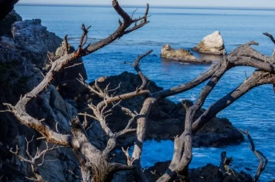 DSC04702-November 25, 2013-Backup.jpg