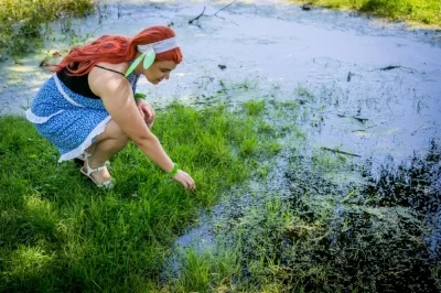 DSC09790-September 04, 2016-Backup.jpg