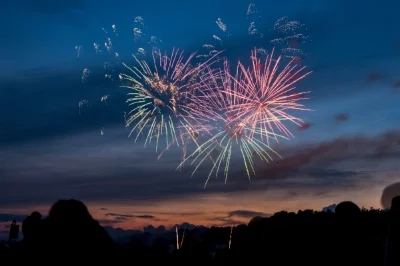 DSC09666-May 28, 2016-Backup.jpg