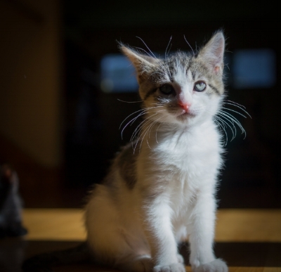 DSC04604-November 23, 2013-Backup.jpg