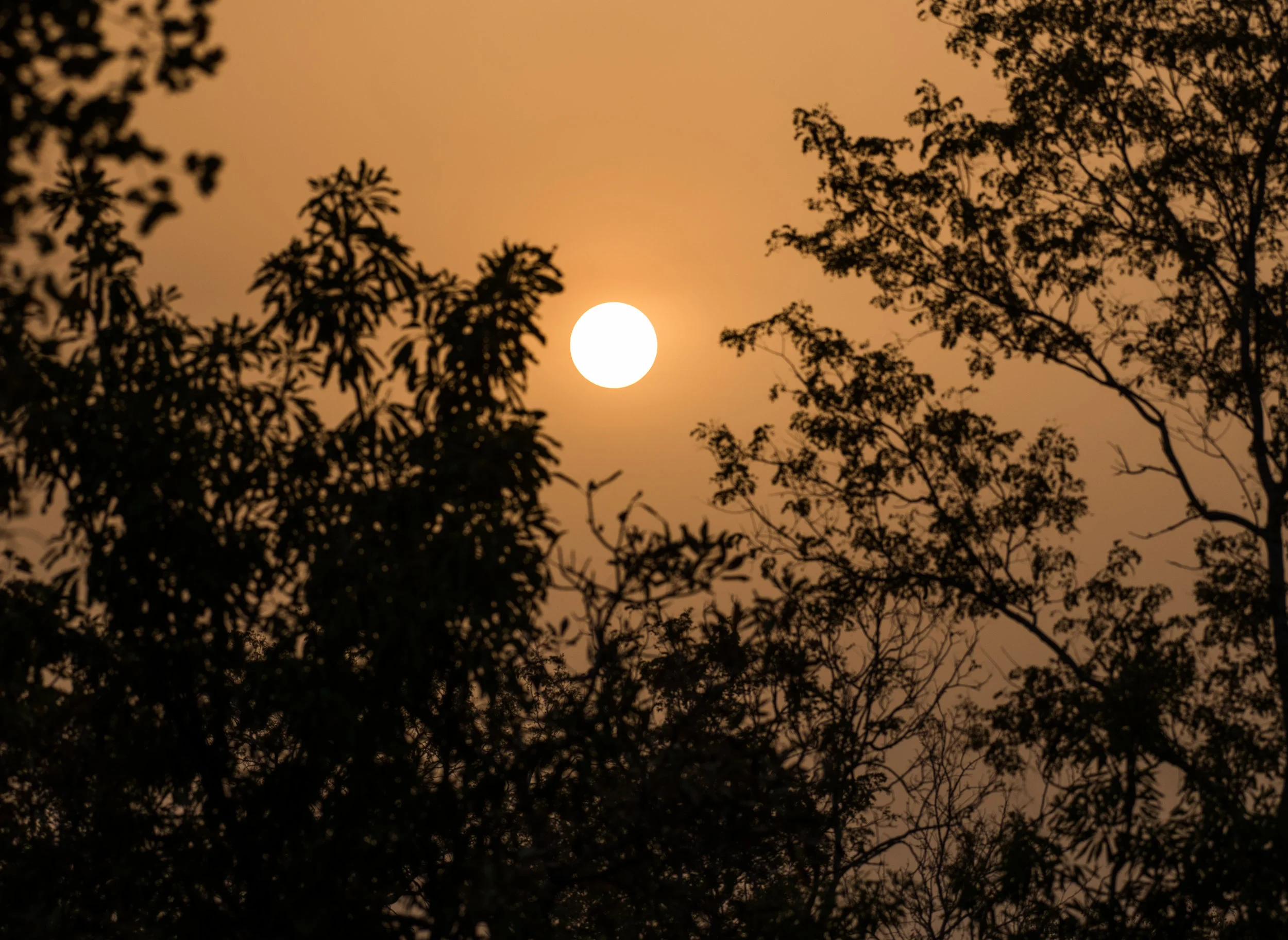 DSC_3177-December 22, 2016-Backup.jpg