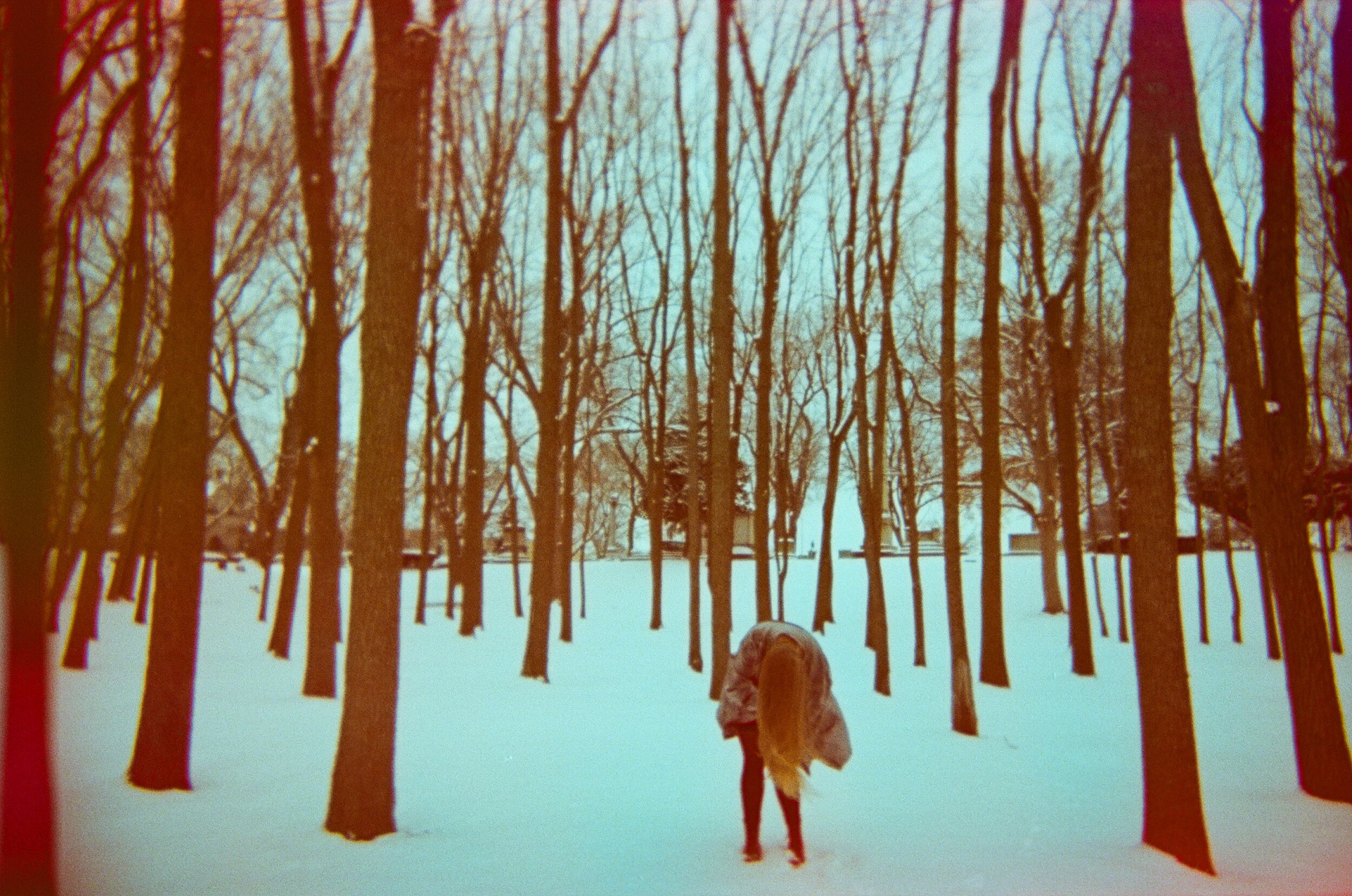 hair forward in trees.jpg