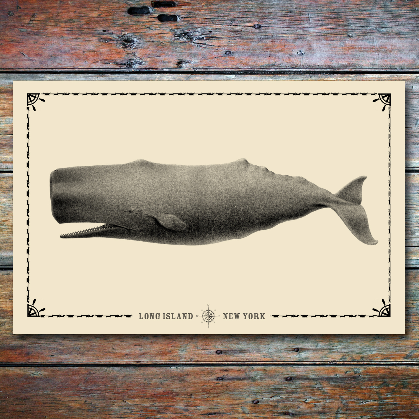 Whale.jpg