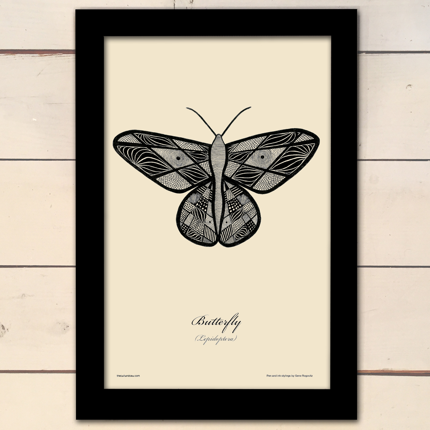 Butterfly.jpg