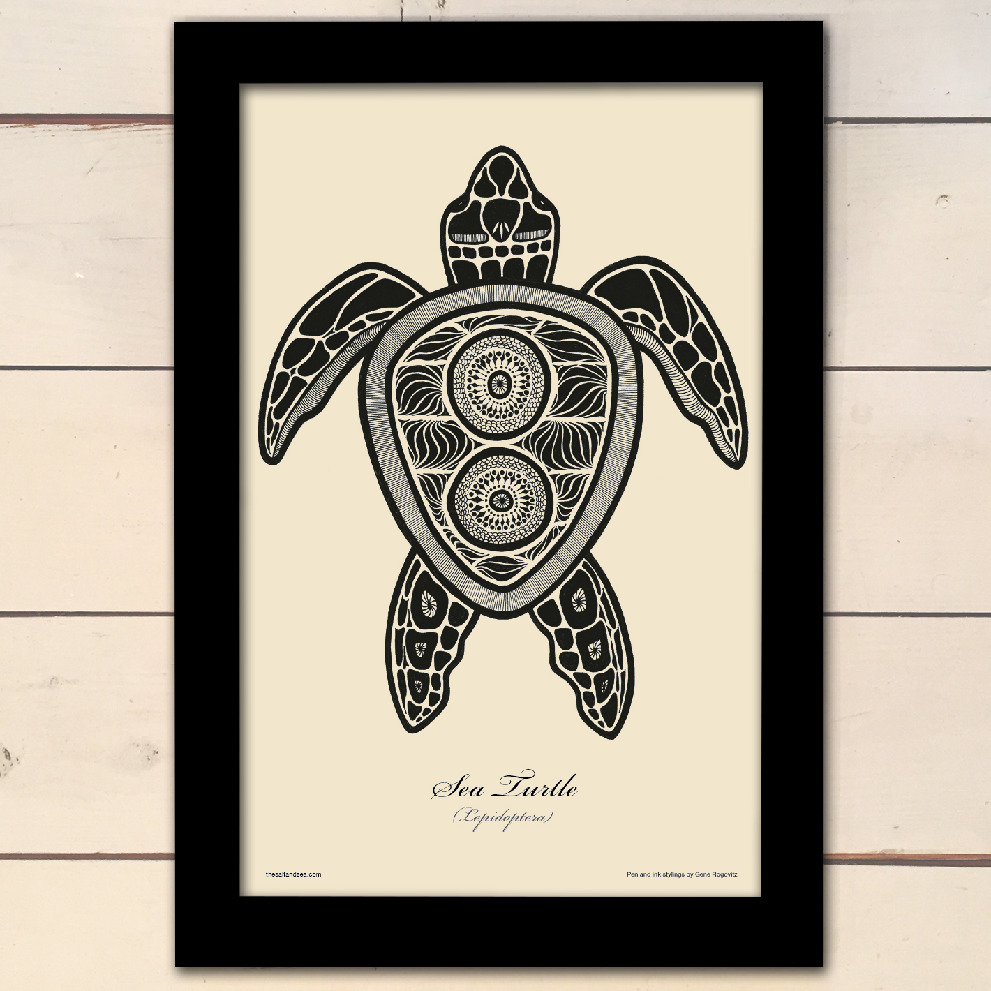 SeaTurtle.jpg