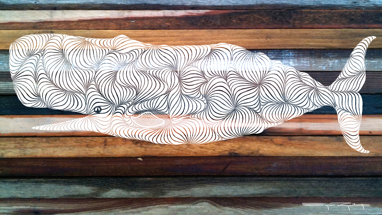 whalecoloredwood.jpg