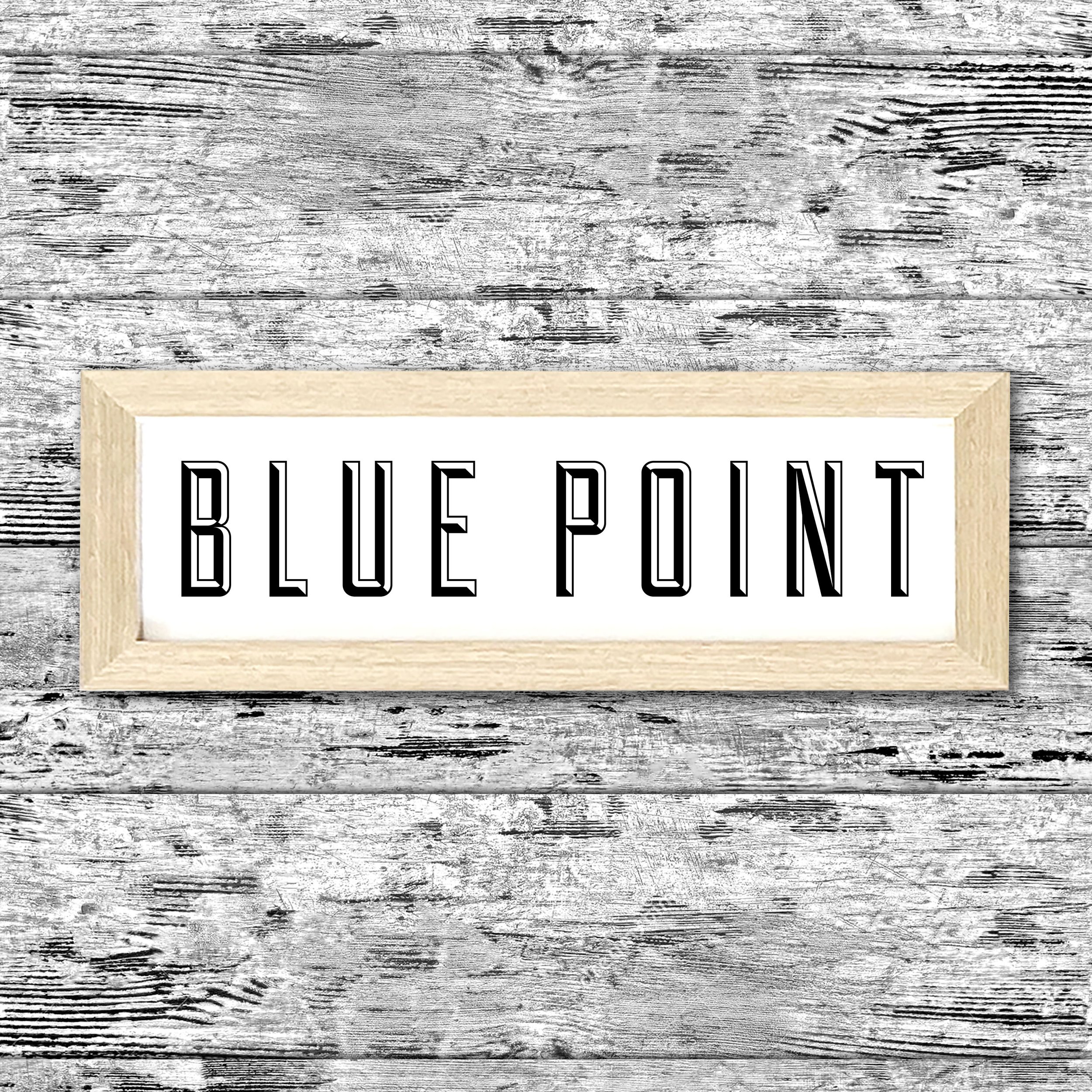 BLUEPOINT.jpg