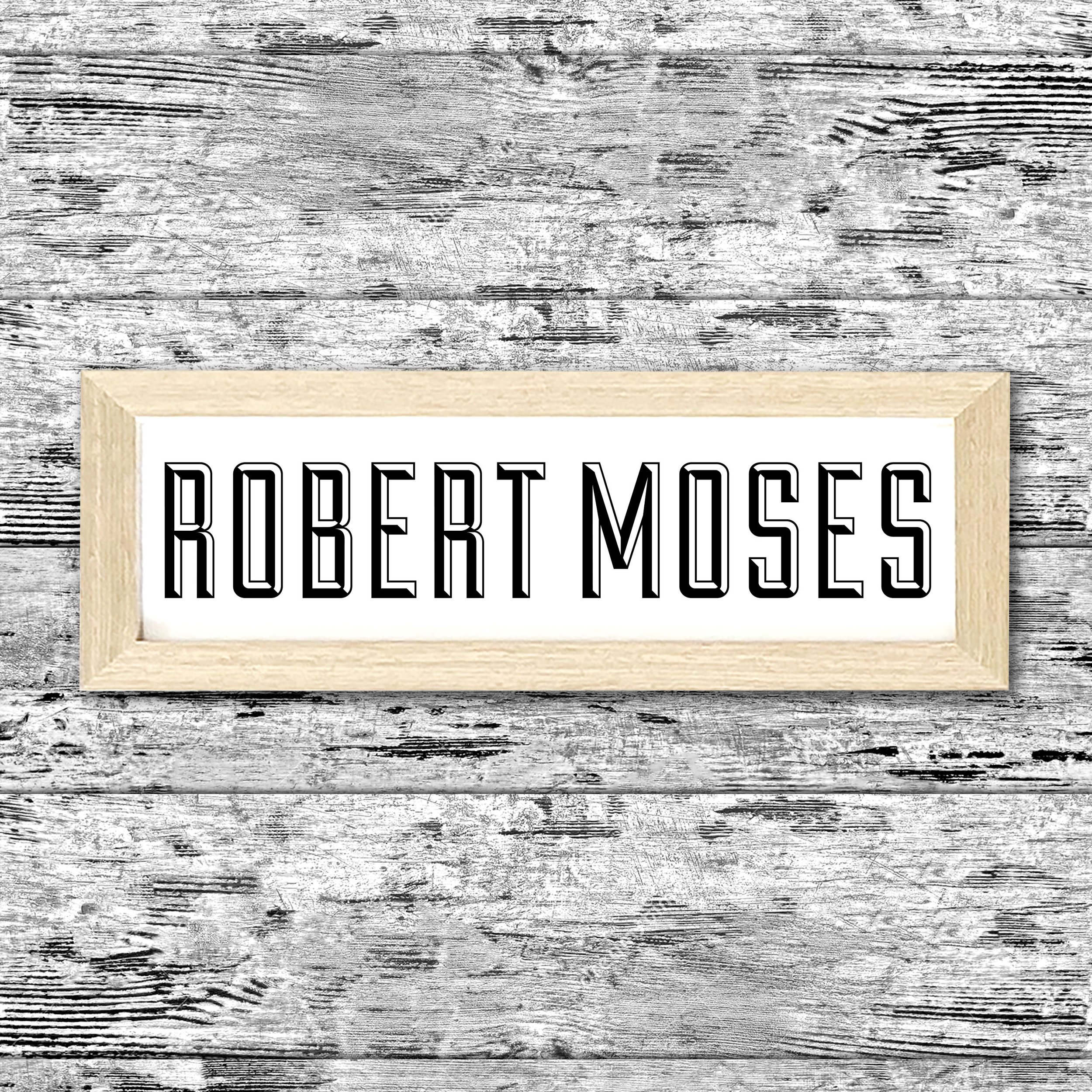 ROBERTMOSES.jpg