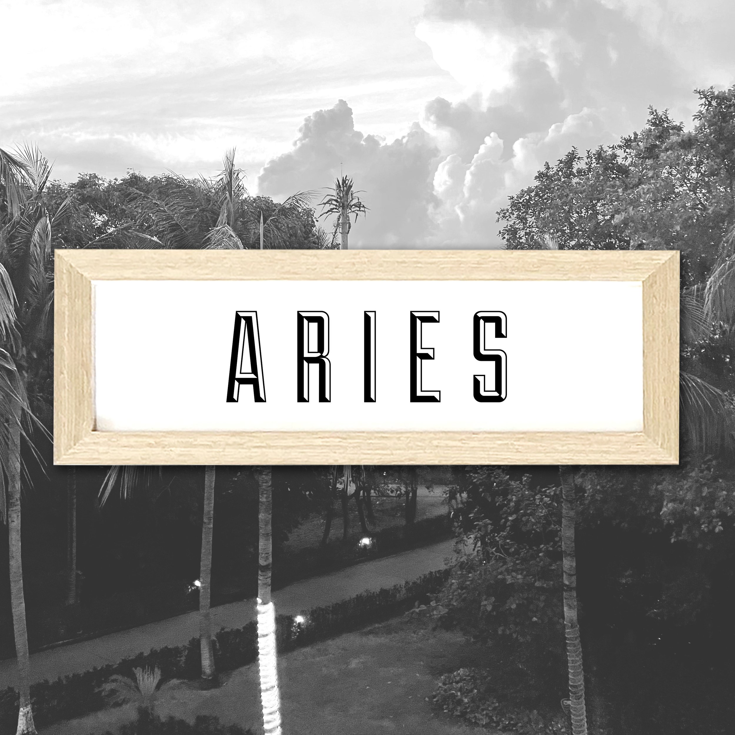 ARIES.jpg