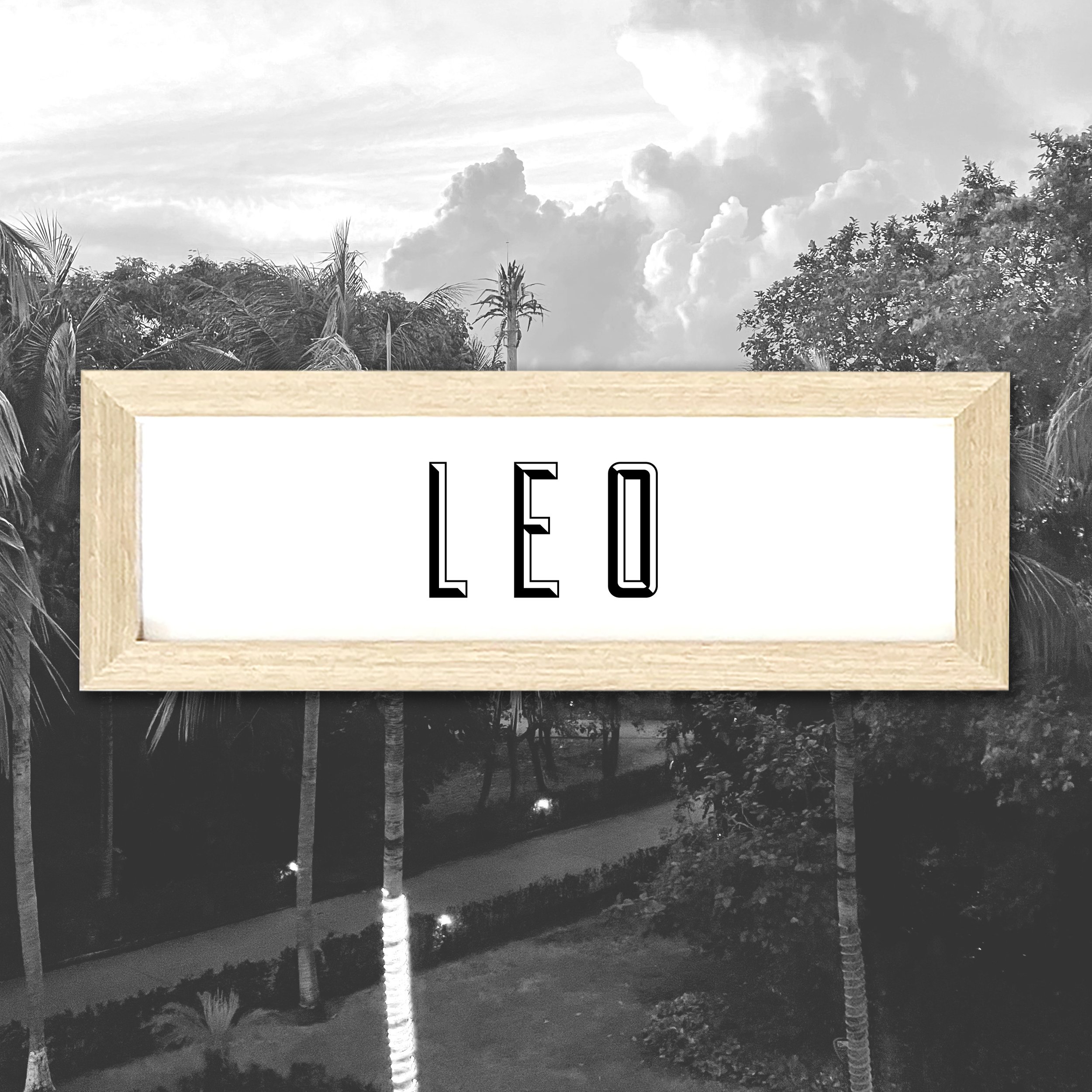 LEO.jpg