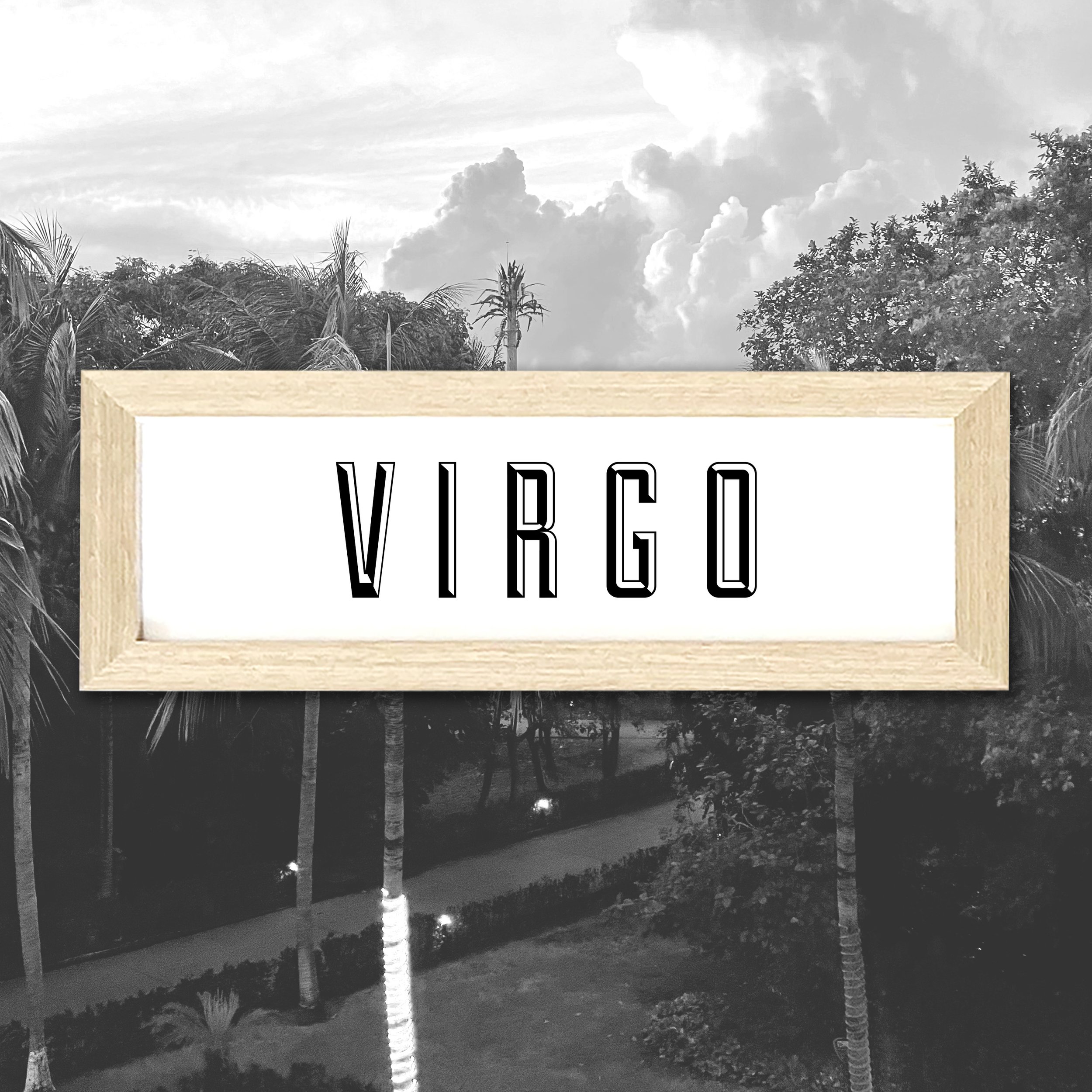VIRGO.jpg