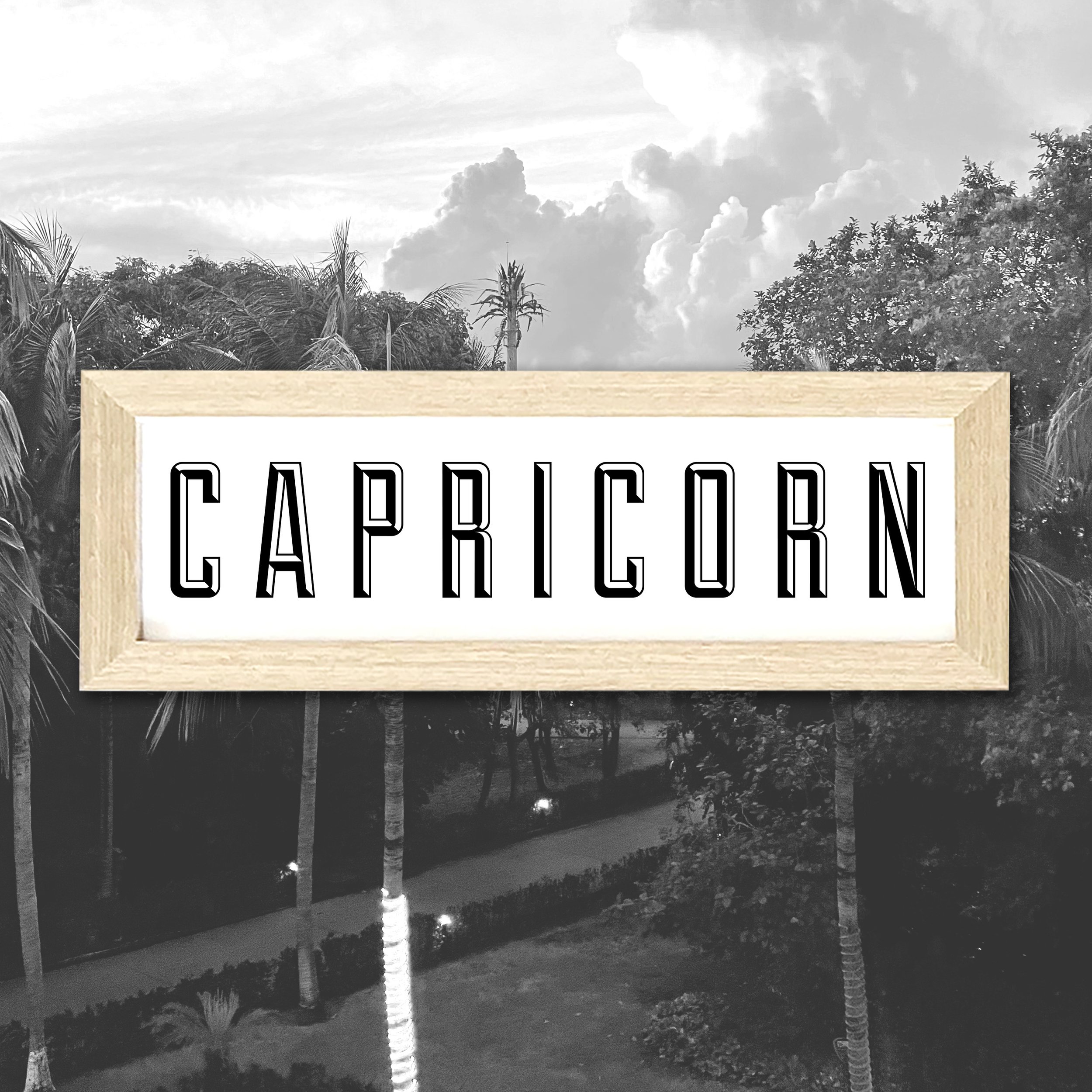 CAPRICORN.jpg