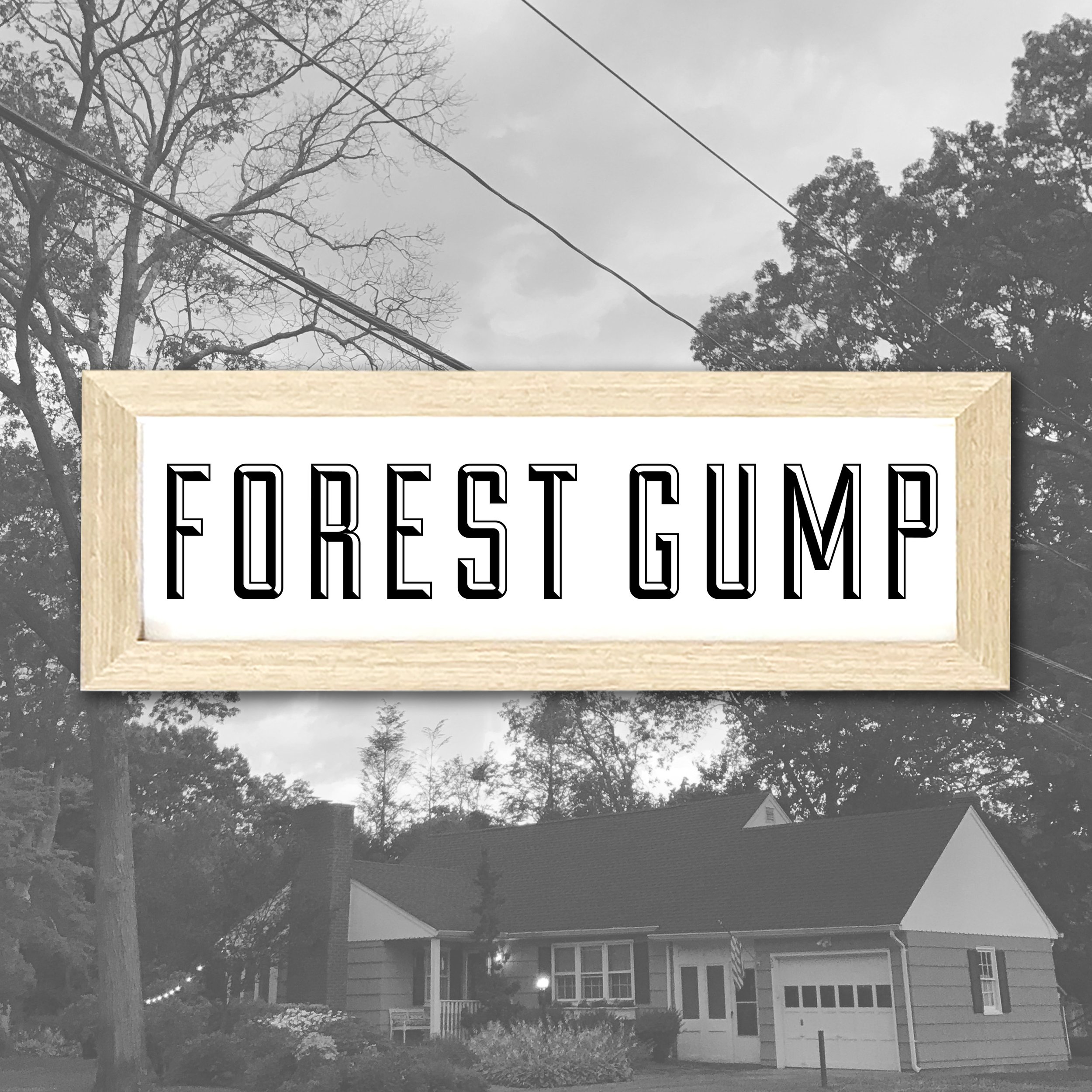 FORESTGUMP.jpg