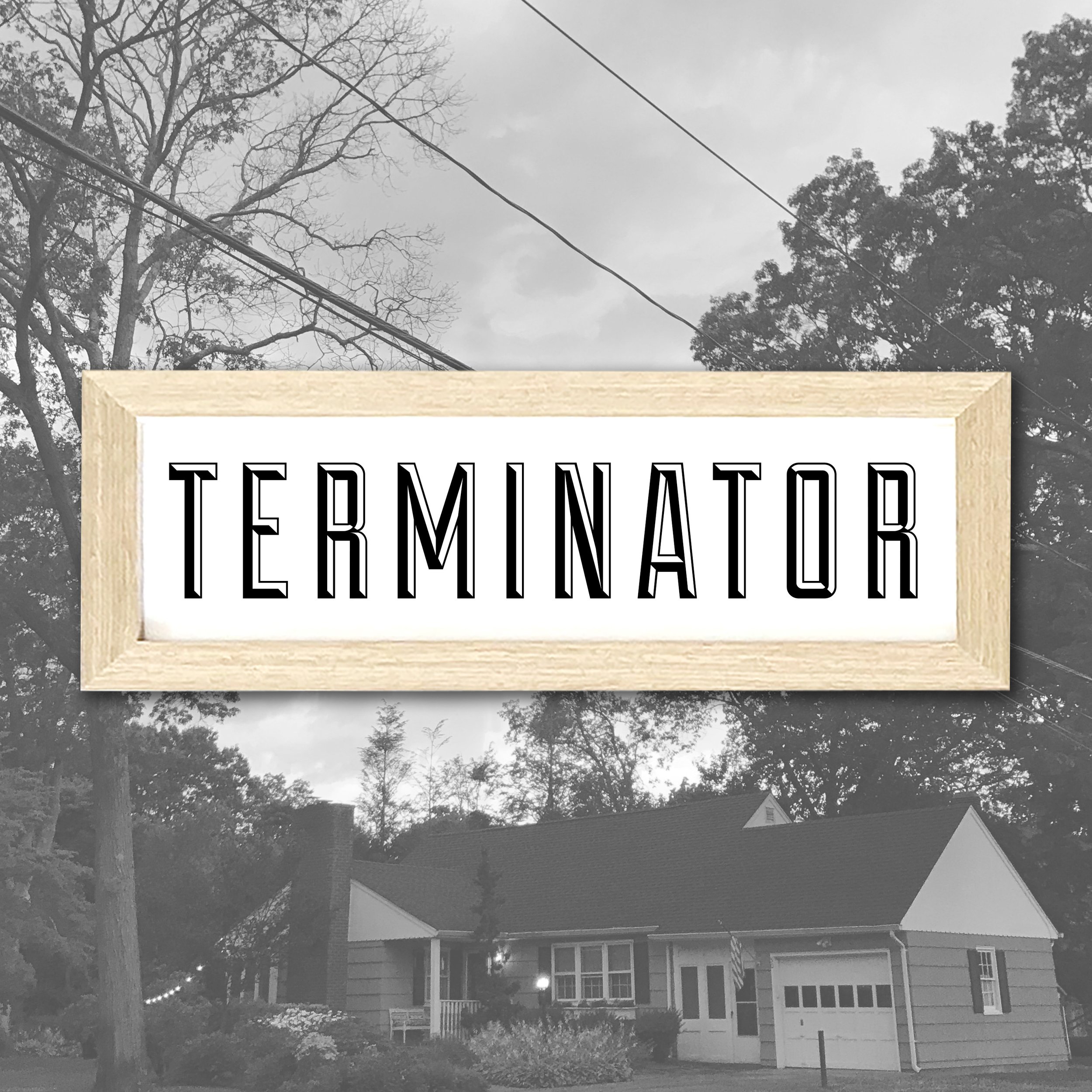 TERMINATOR.jpg
