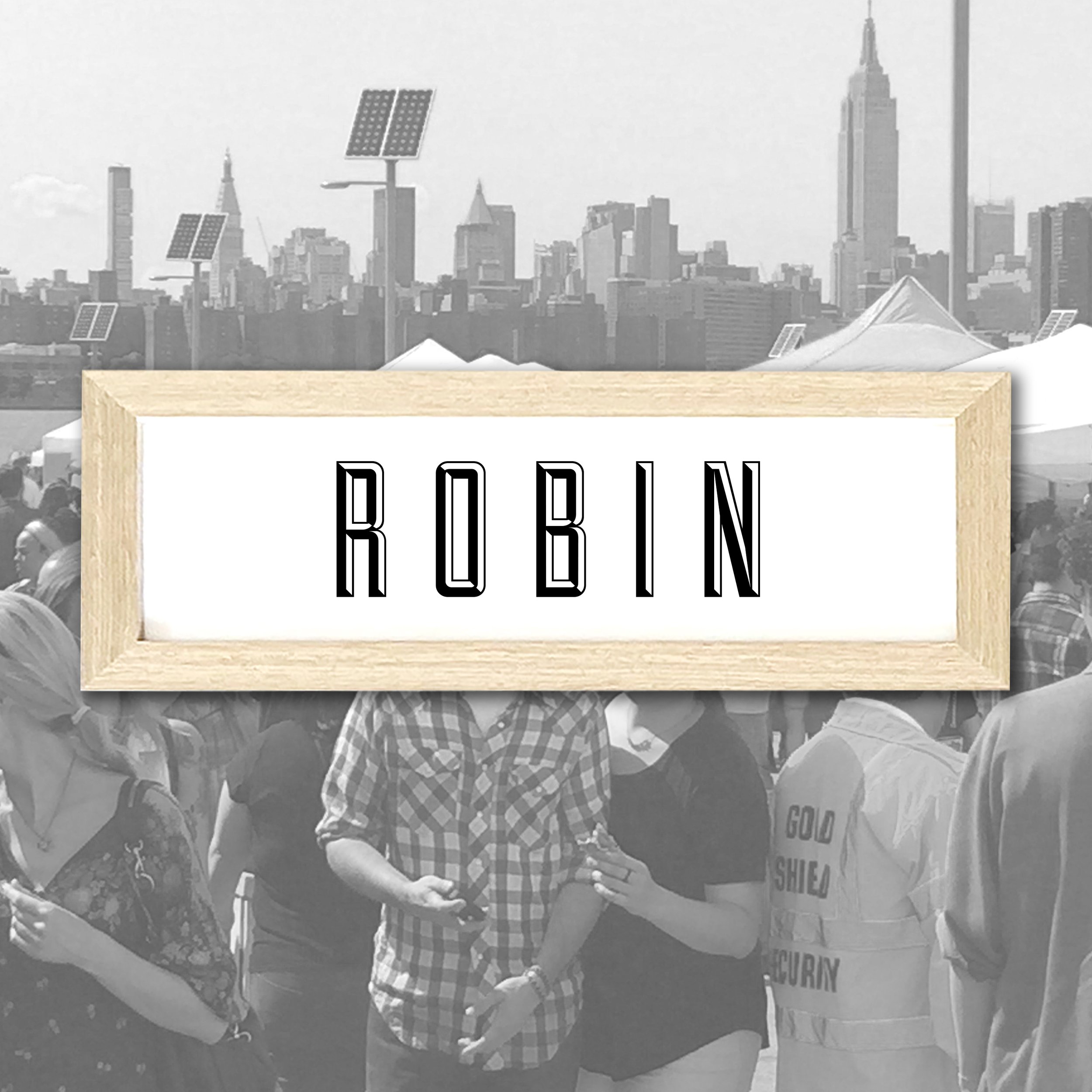ROBIN.jpg