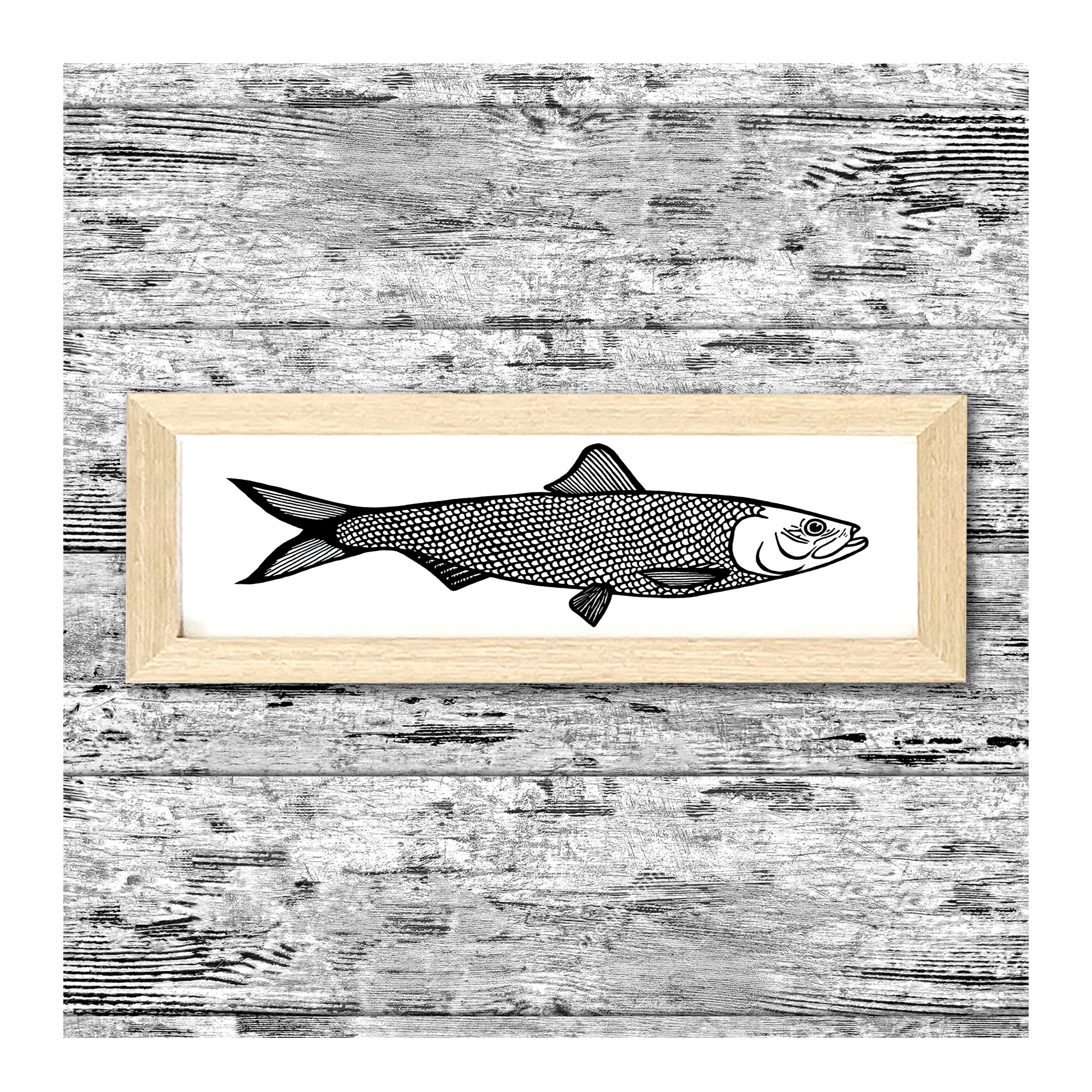 FishwithBackground.jpg
