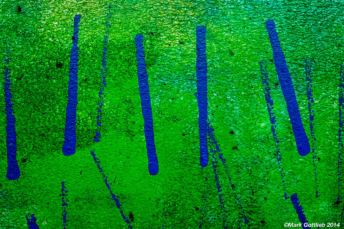DSC2835, Blue Stripes