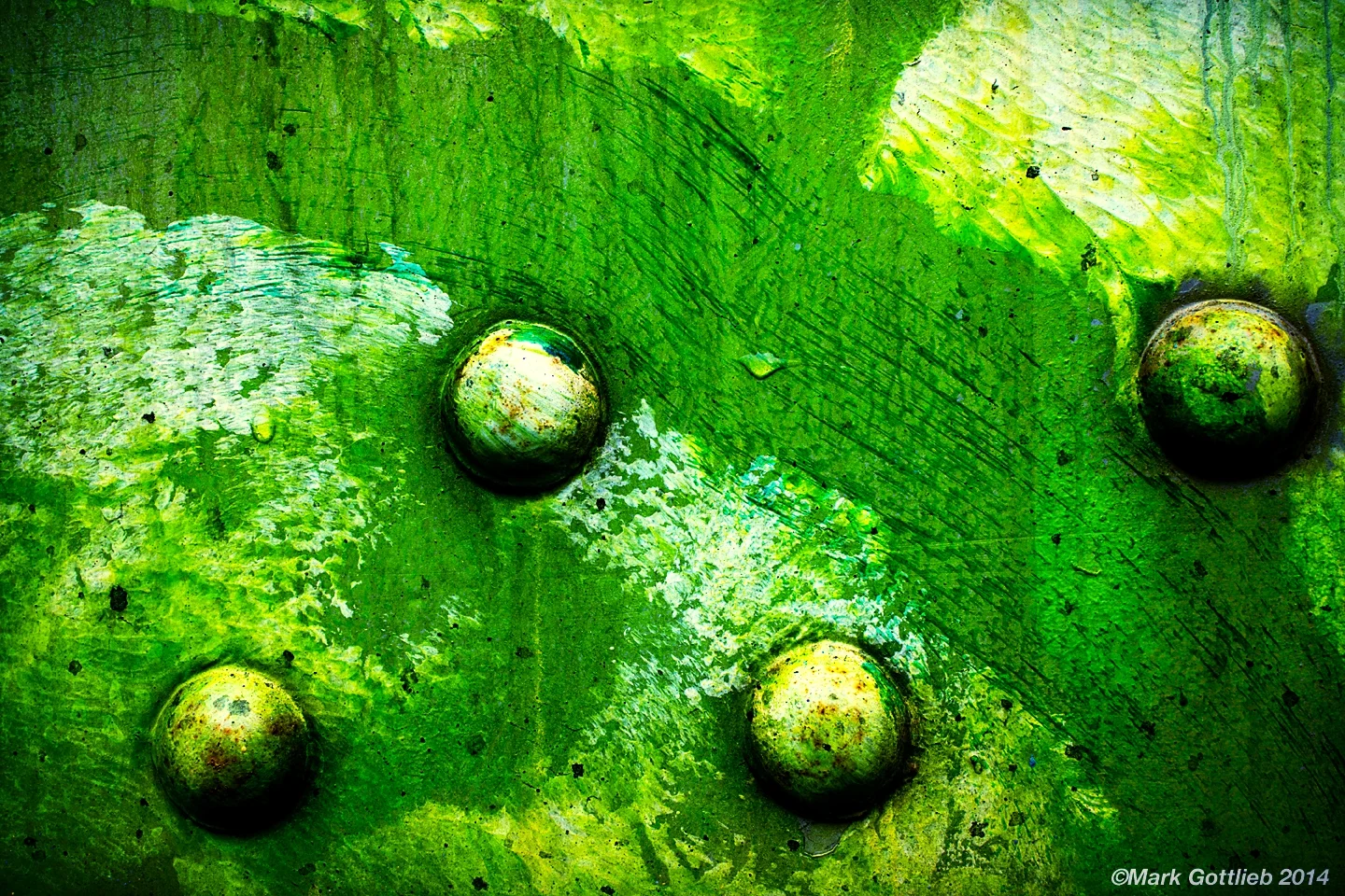 DSC2833 Green Rivets
