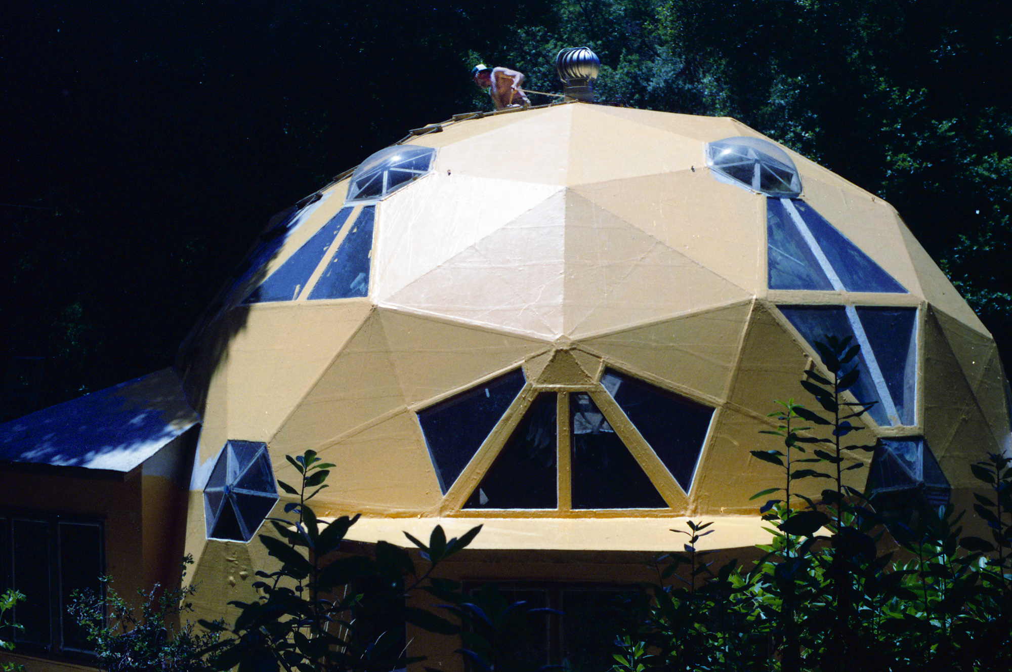 Geodesic Dome