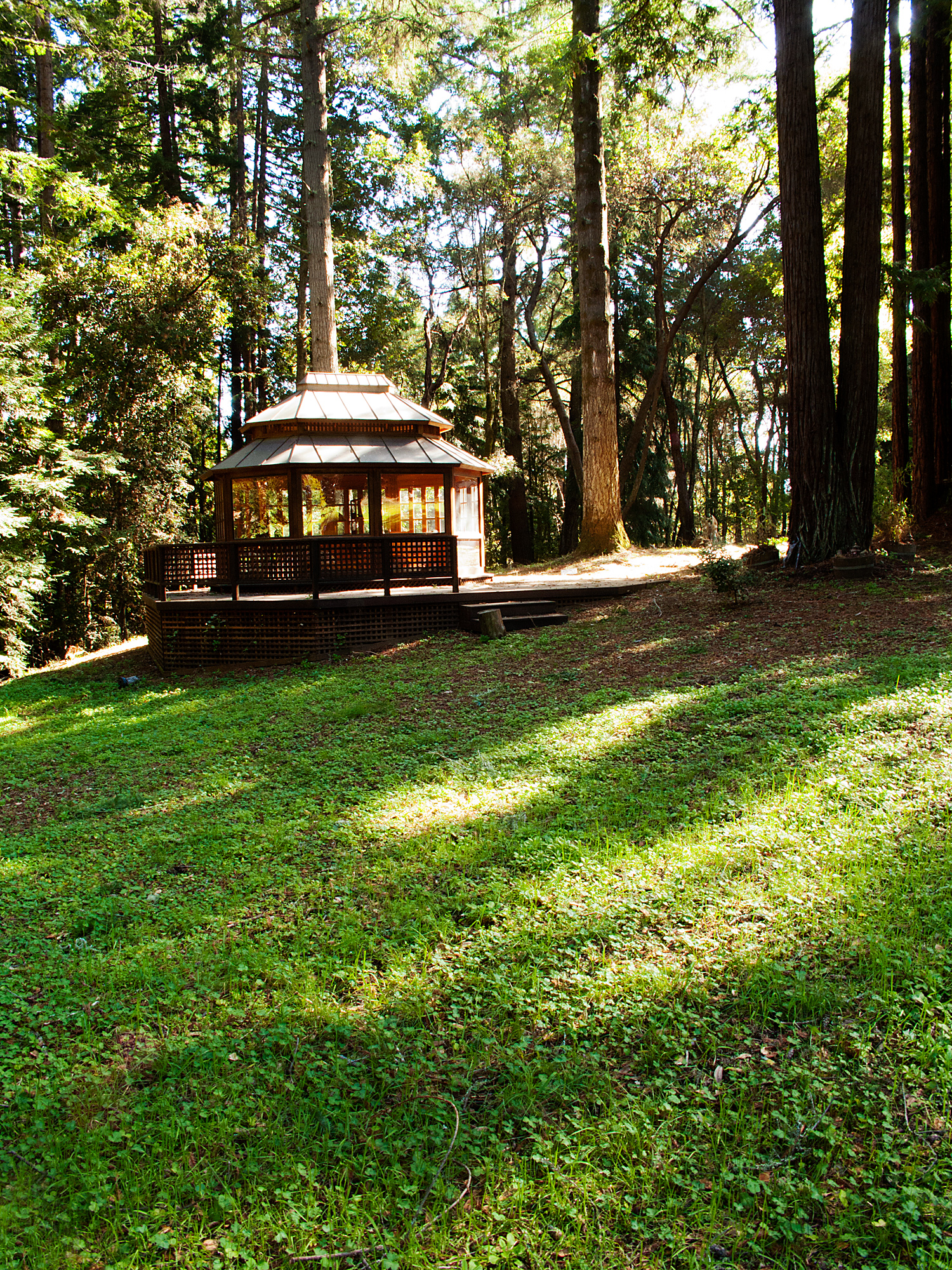  Gazebo in the Forest