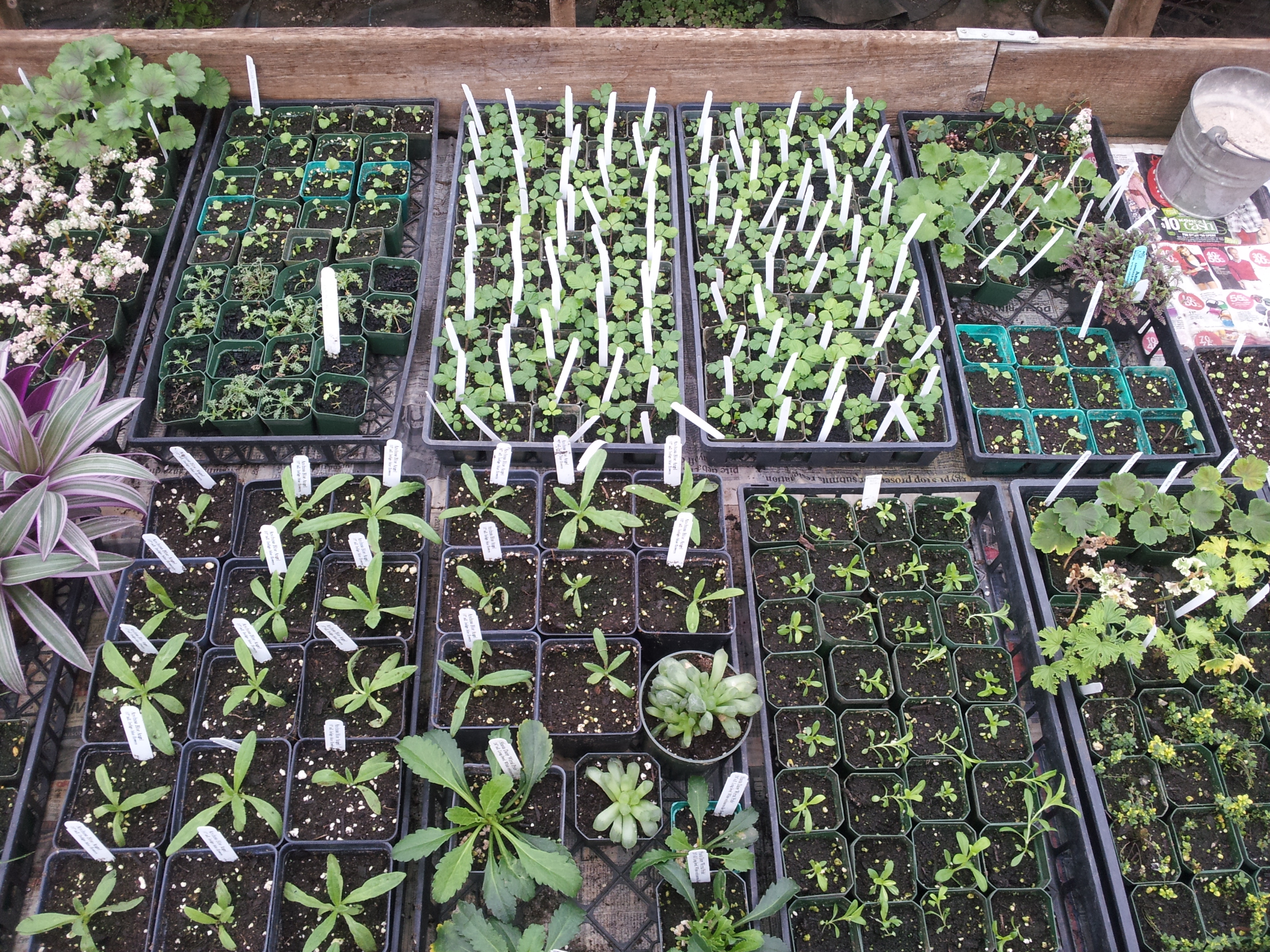 2013-01-20 13.25.46.jpg