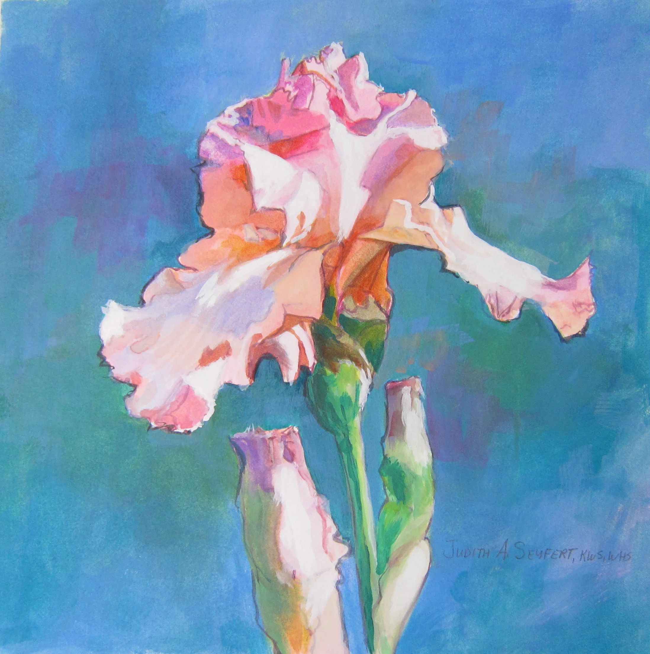Iris #4