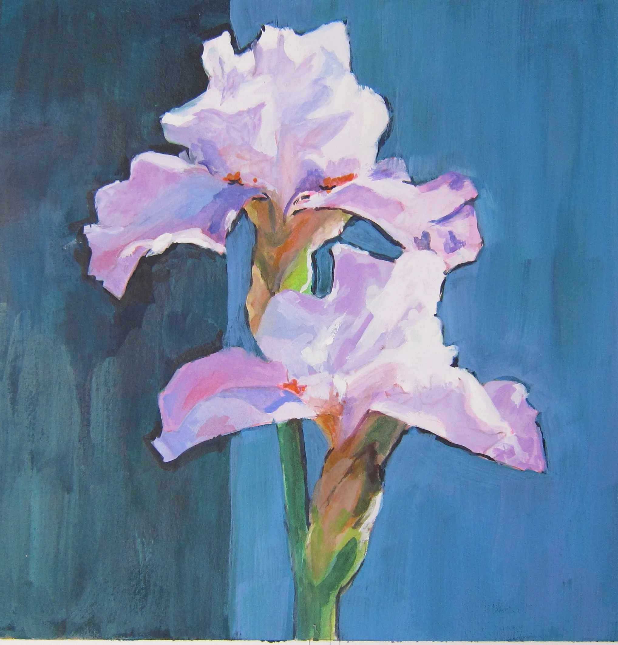 Iris #2