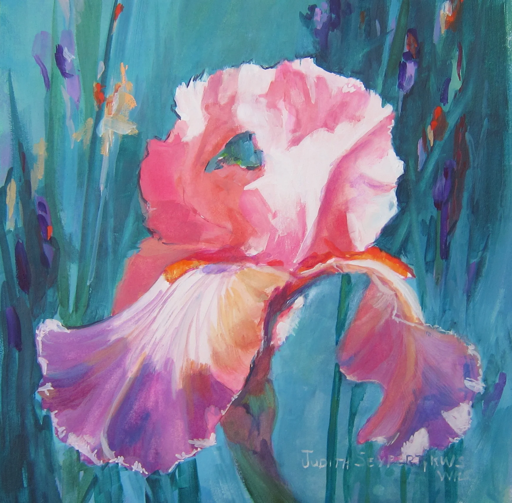 Iris #7 10" X 10" Gouache