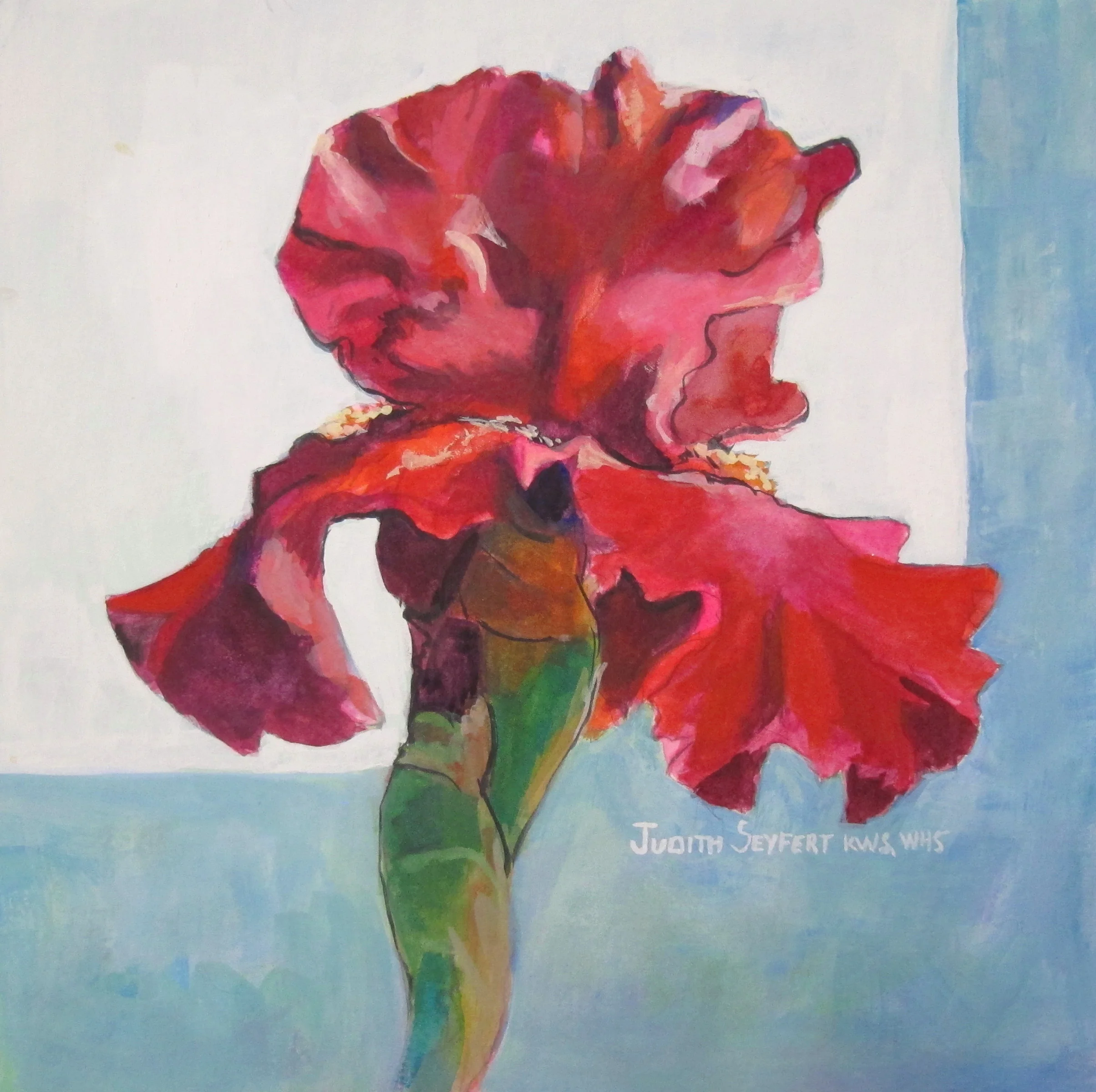 Iris #11 10" X 10" Gouache