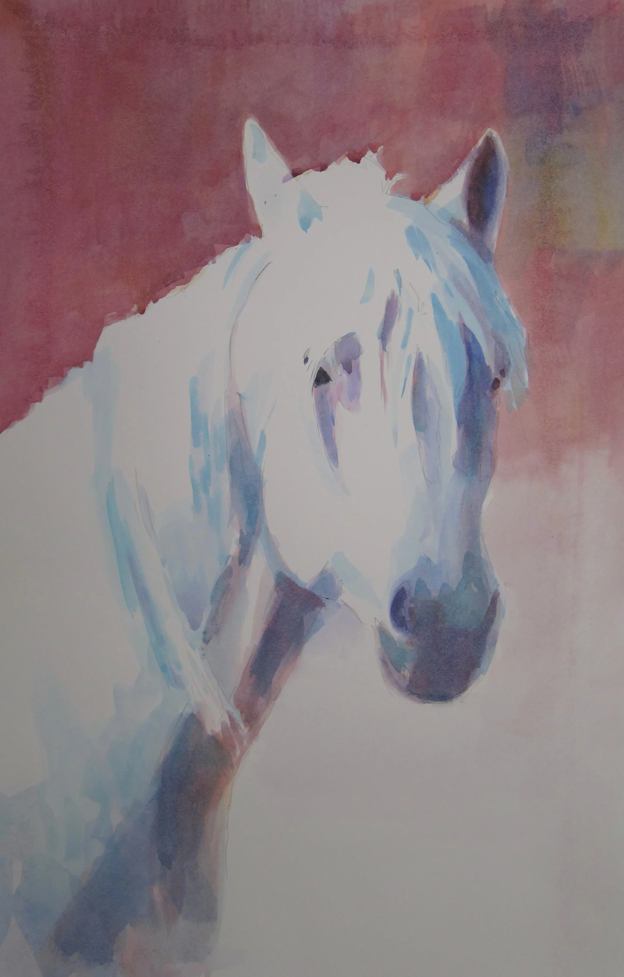 Aladdin 22" X 15" Watercolor