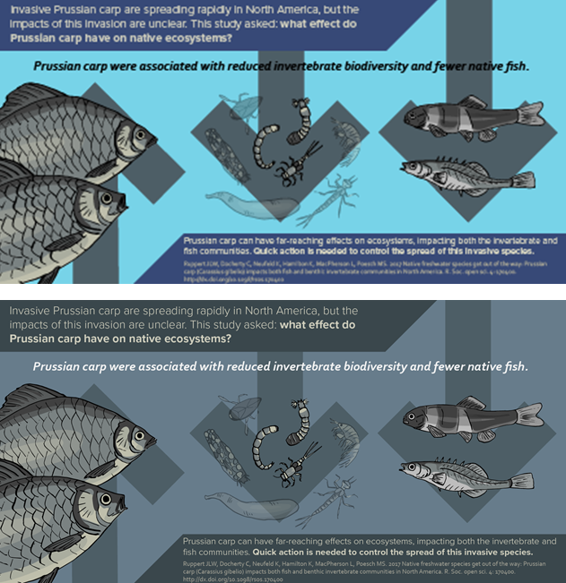 The same infographic, one with randomly picked blue backgrounds, one with blues that are part of the same colour palette.