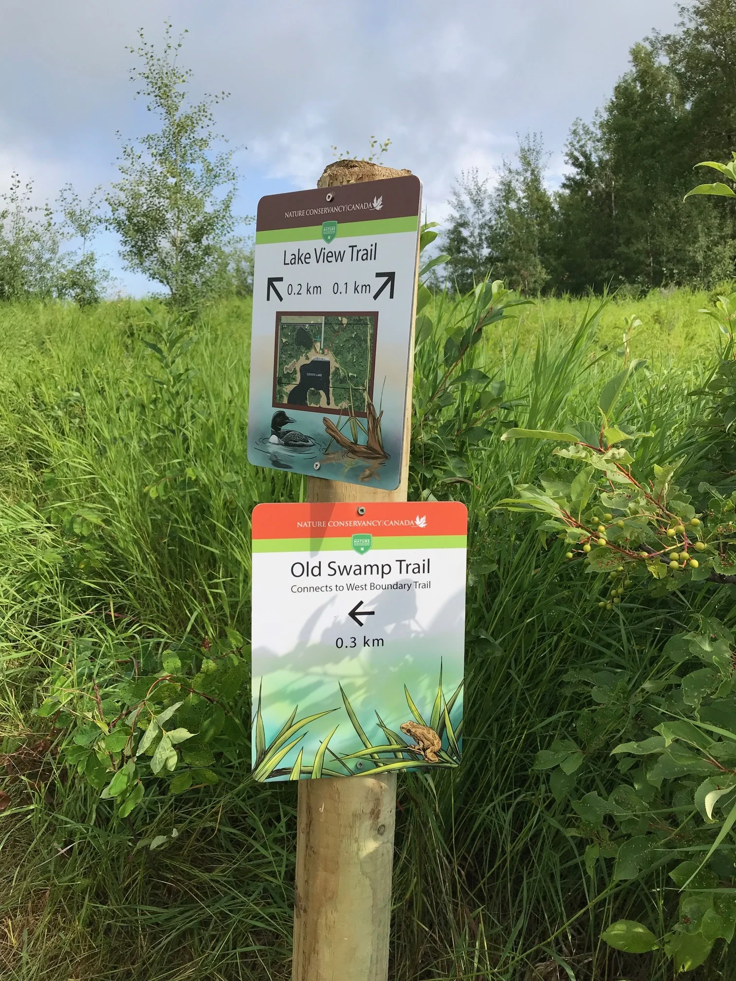 NATURE CONSERVANCY CANADA: HOPKINS PROPERTY