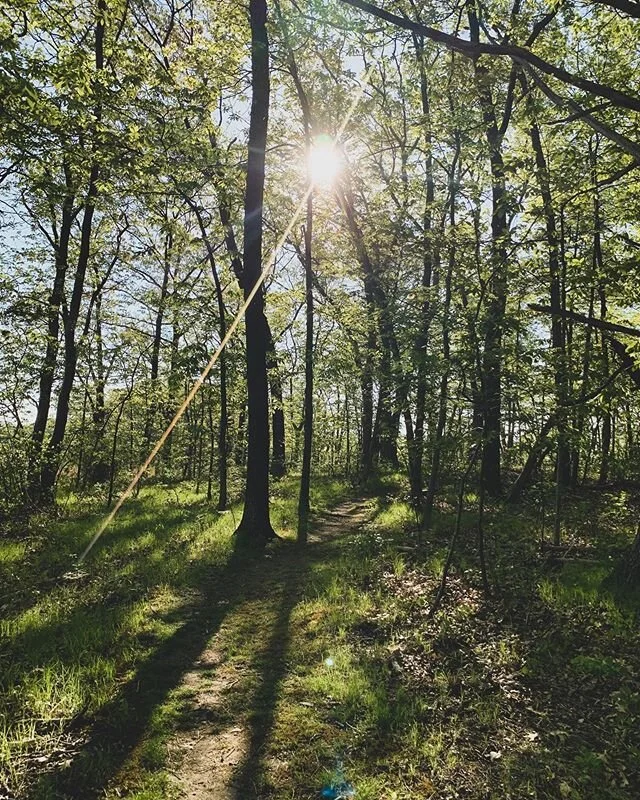 Eagle Island
-
Got out of bed, put on my shoes and ran the perfect 5k loop. Sounds better than it felt. Excuse me while I lay on the floor for 30 minutes.