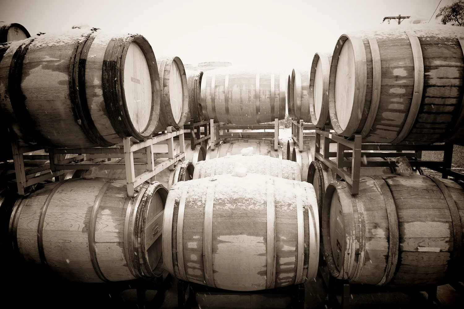 Cor-Cellars-Wine-Barrels-Winter-MG-7313.jpg