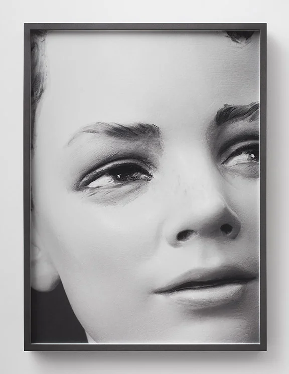 a likeness has blisters / 2014