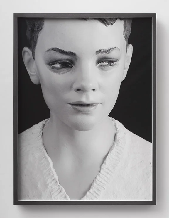 a likeness has blisters / 2014
