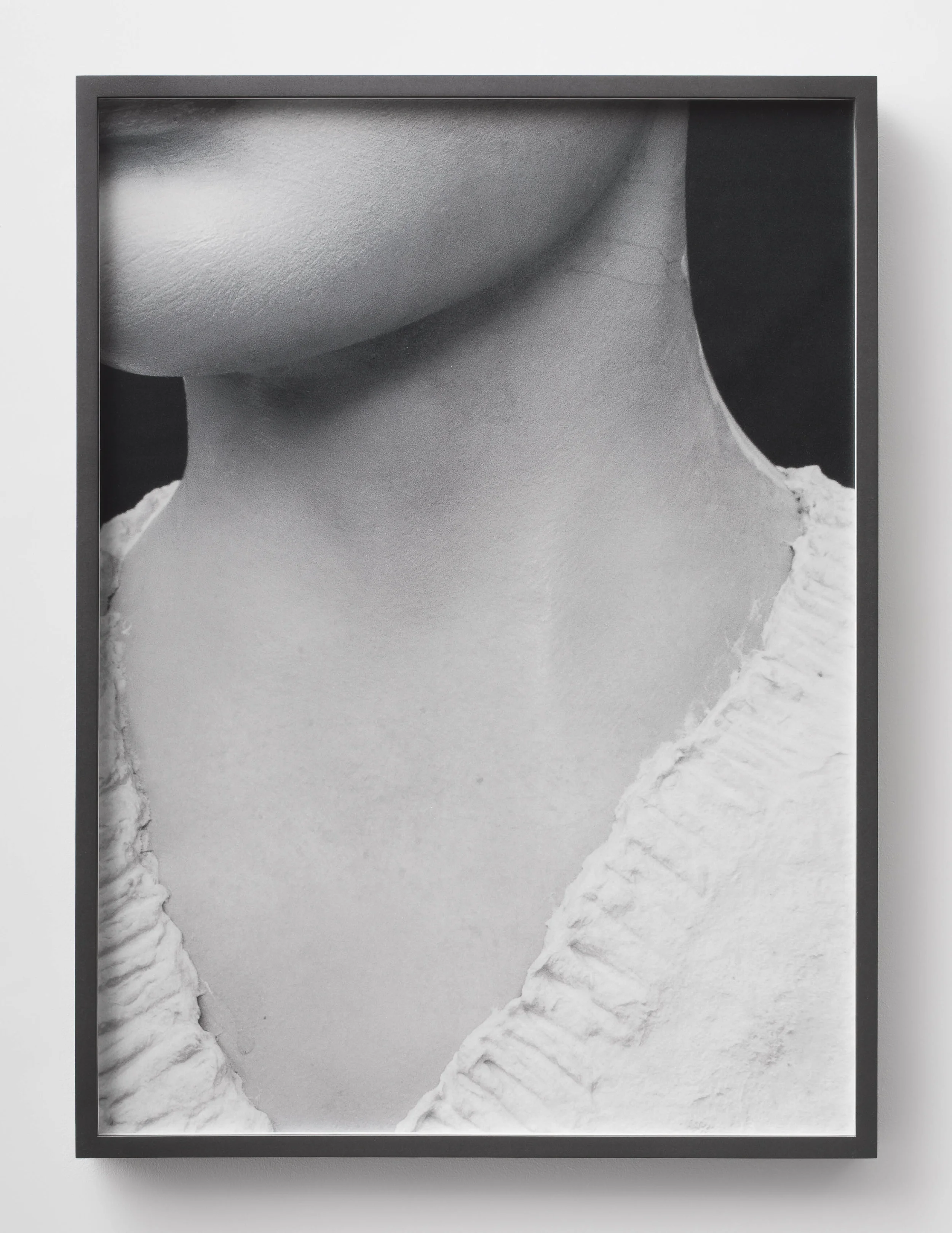 a likeness has blisters / 2014