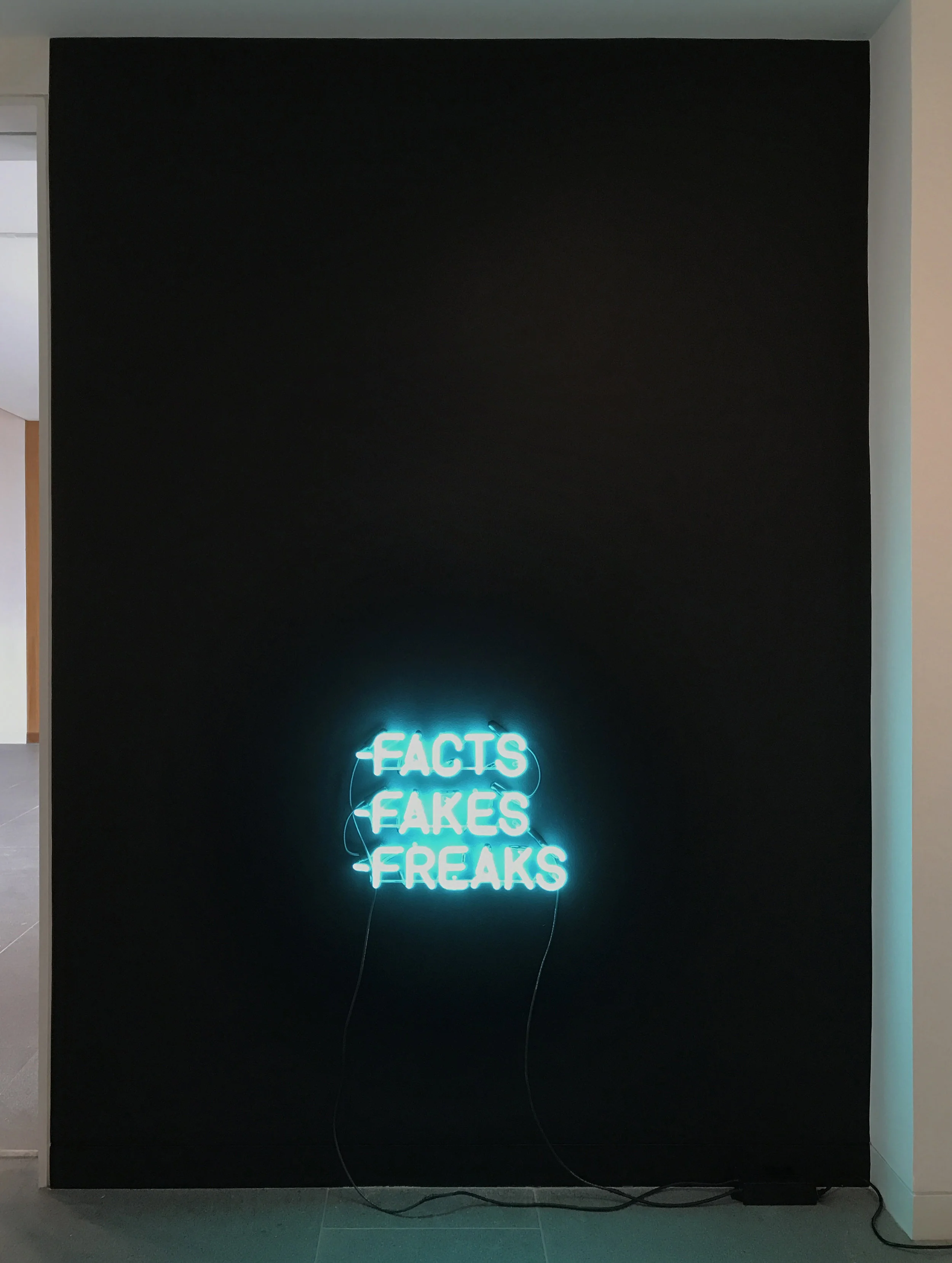 Facts Fakes Freaks / 2017