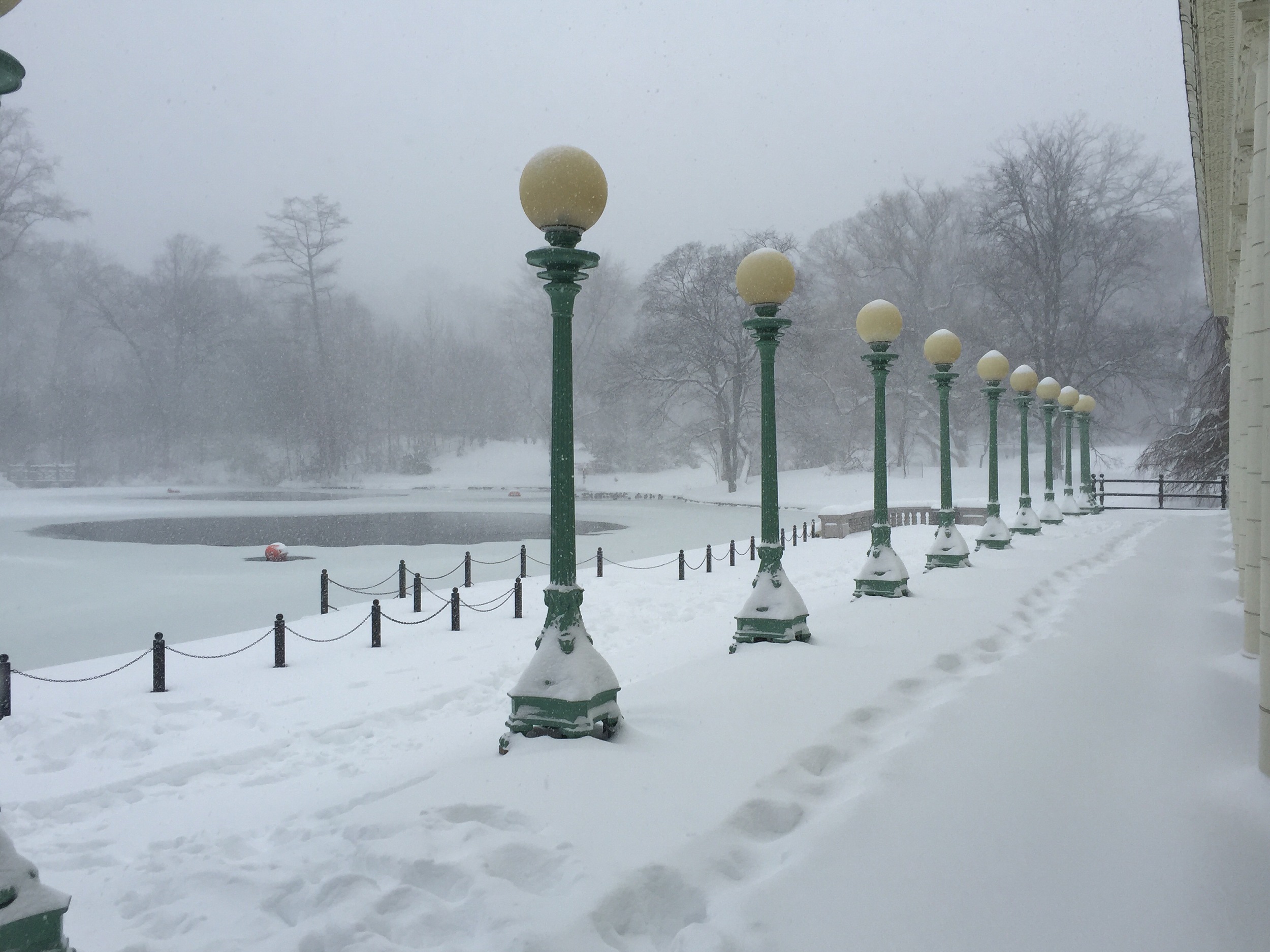 Prospect Park and Jonas