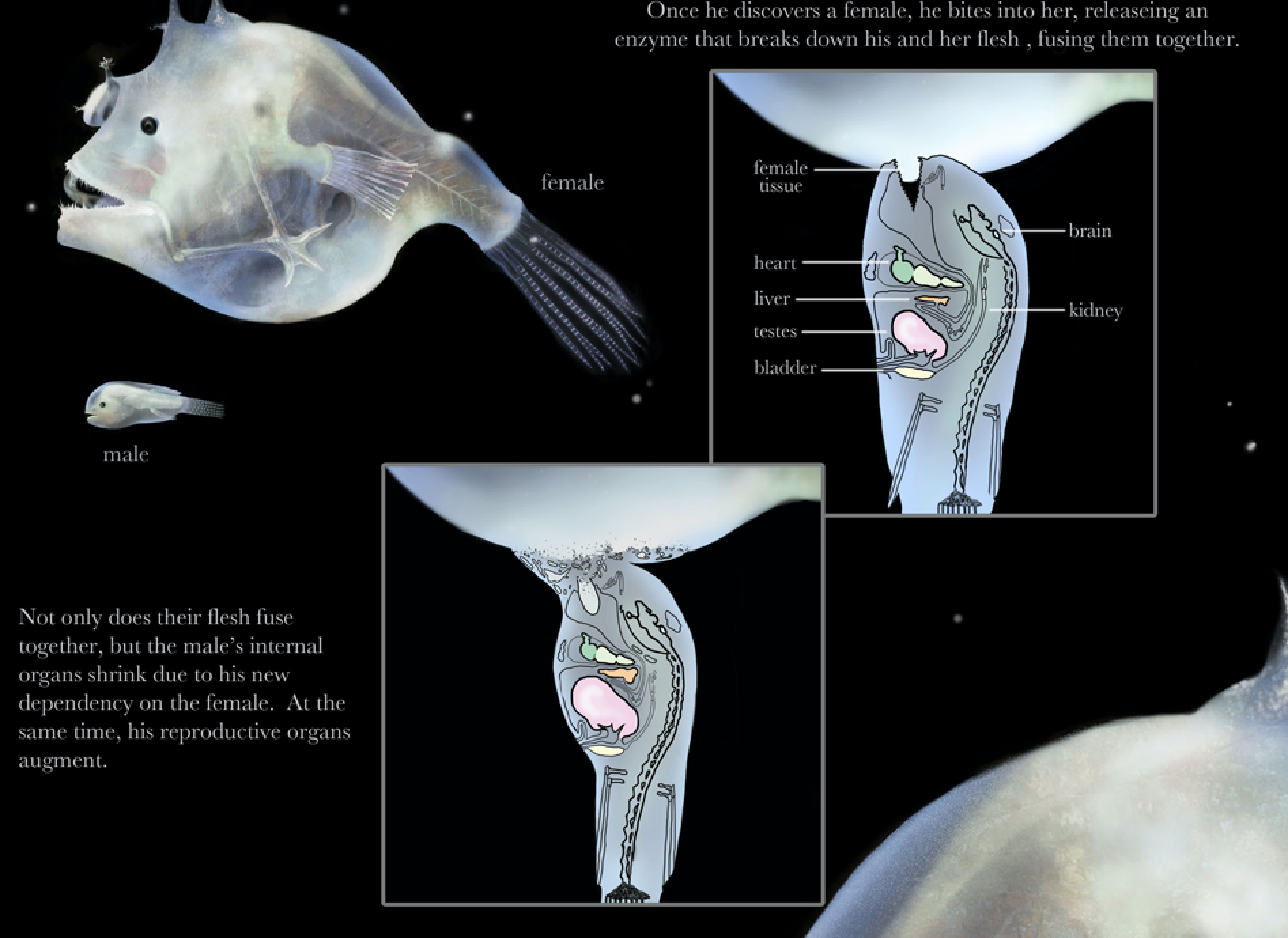 Screen Shot 2016-11-12 at 6.32.37 PM.png