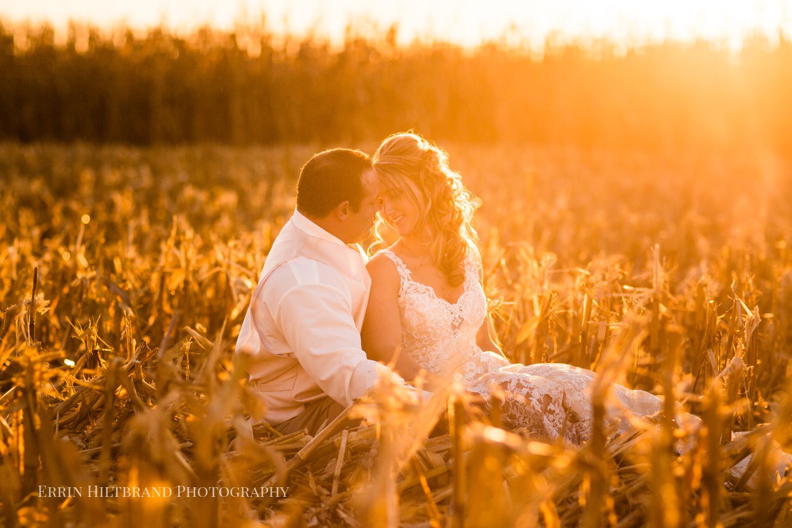Ashley Dwight Cornfield.jpg